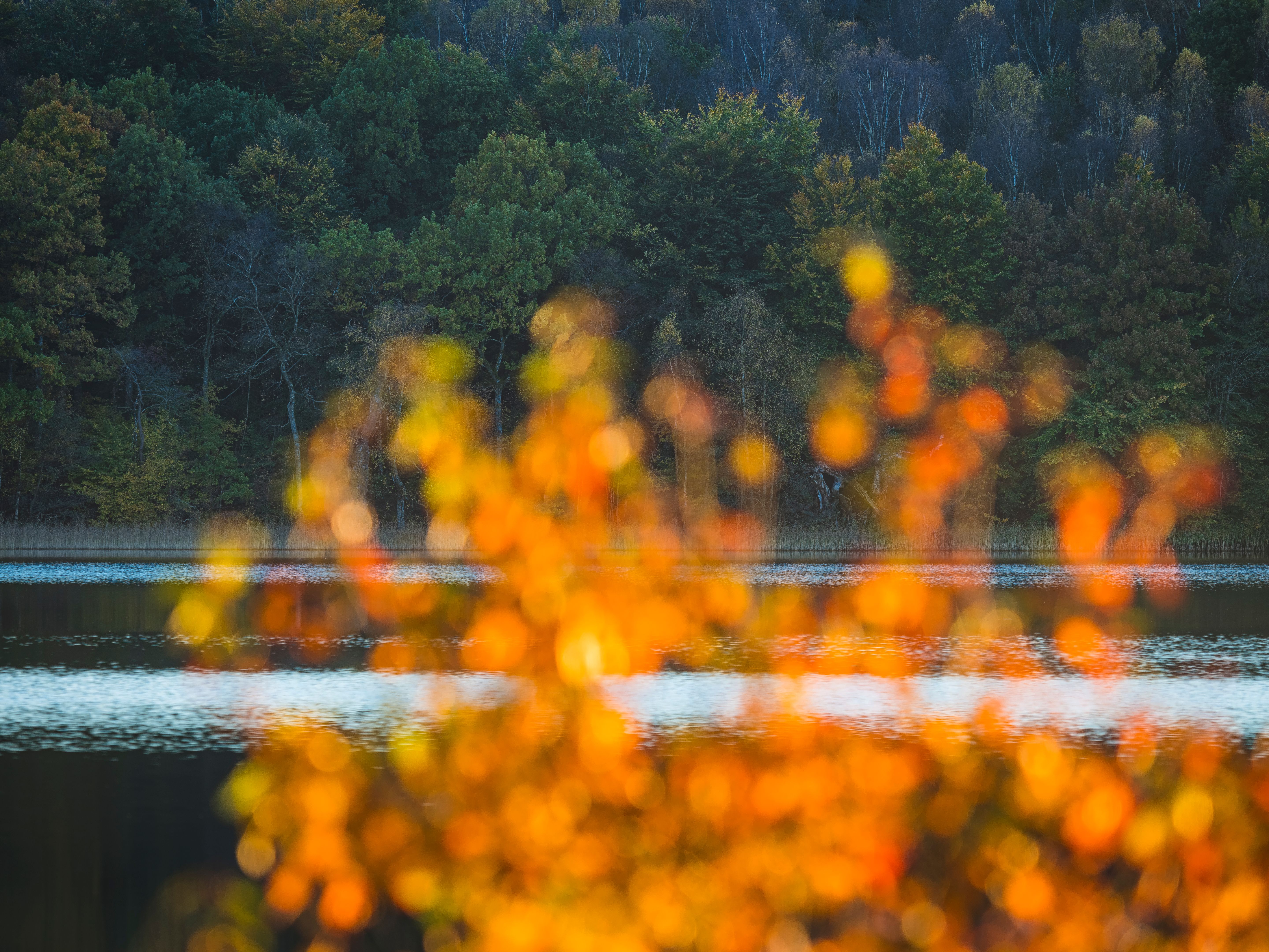 Autumn foliage reflects on a tranquil lake in Sweden during a serene fall afternoon