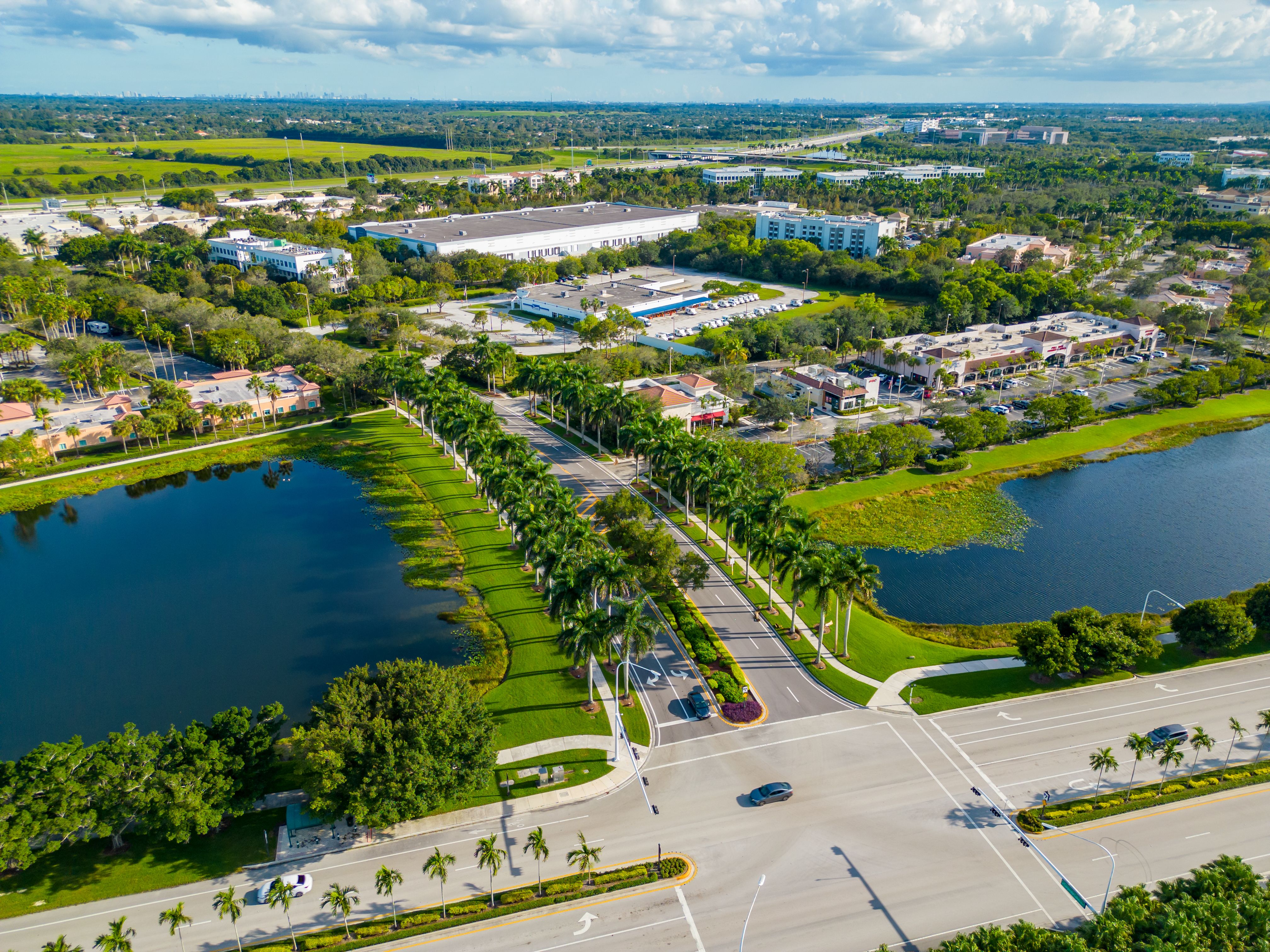 florida business opportunity