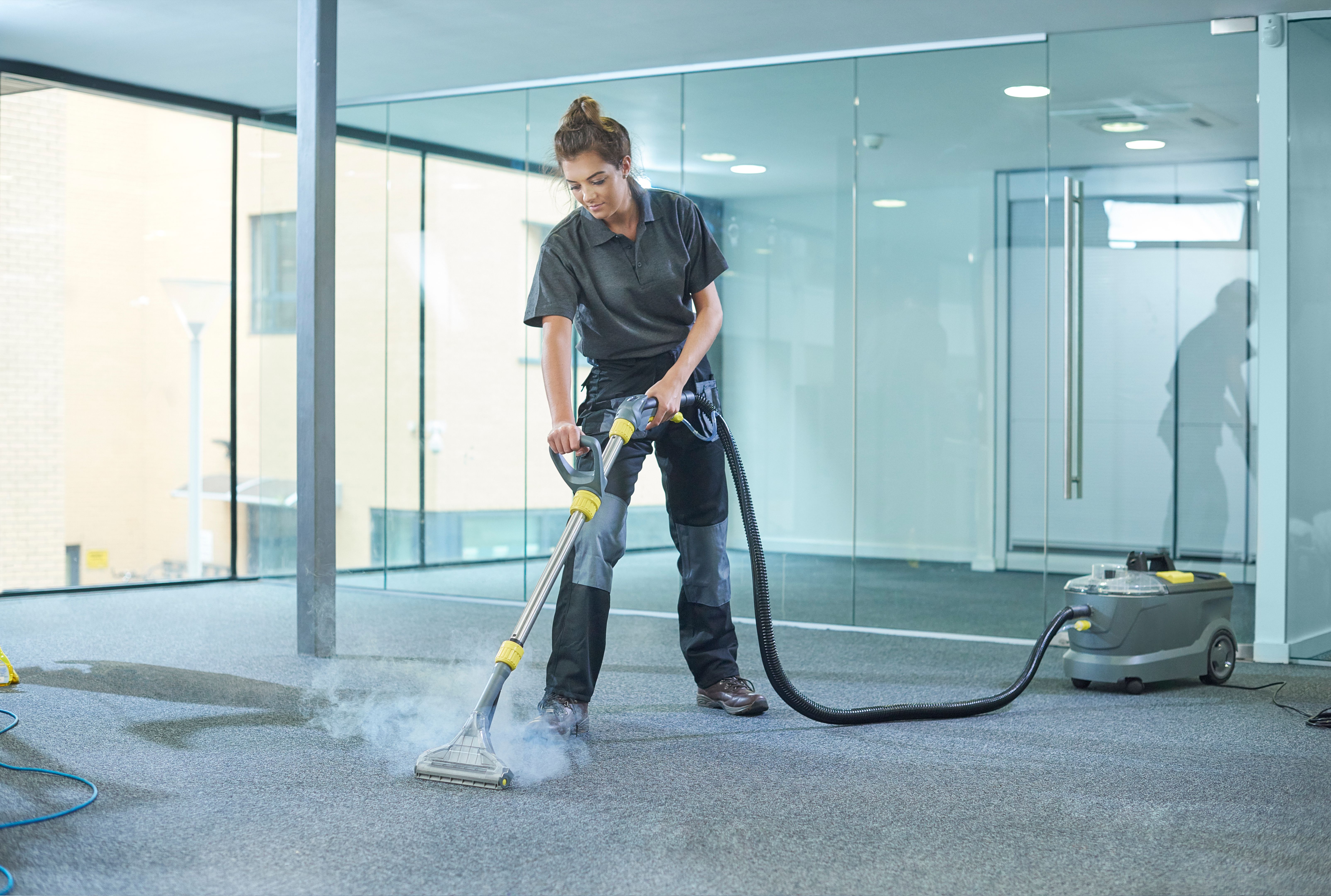professional cleaning