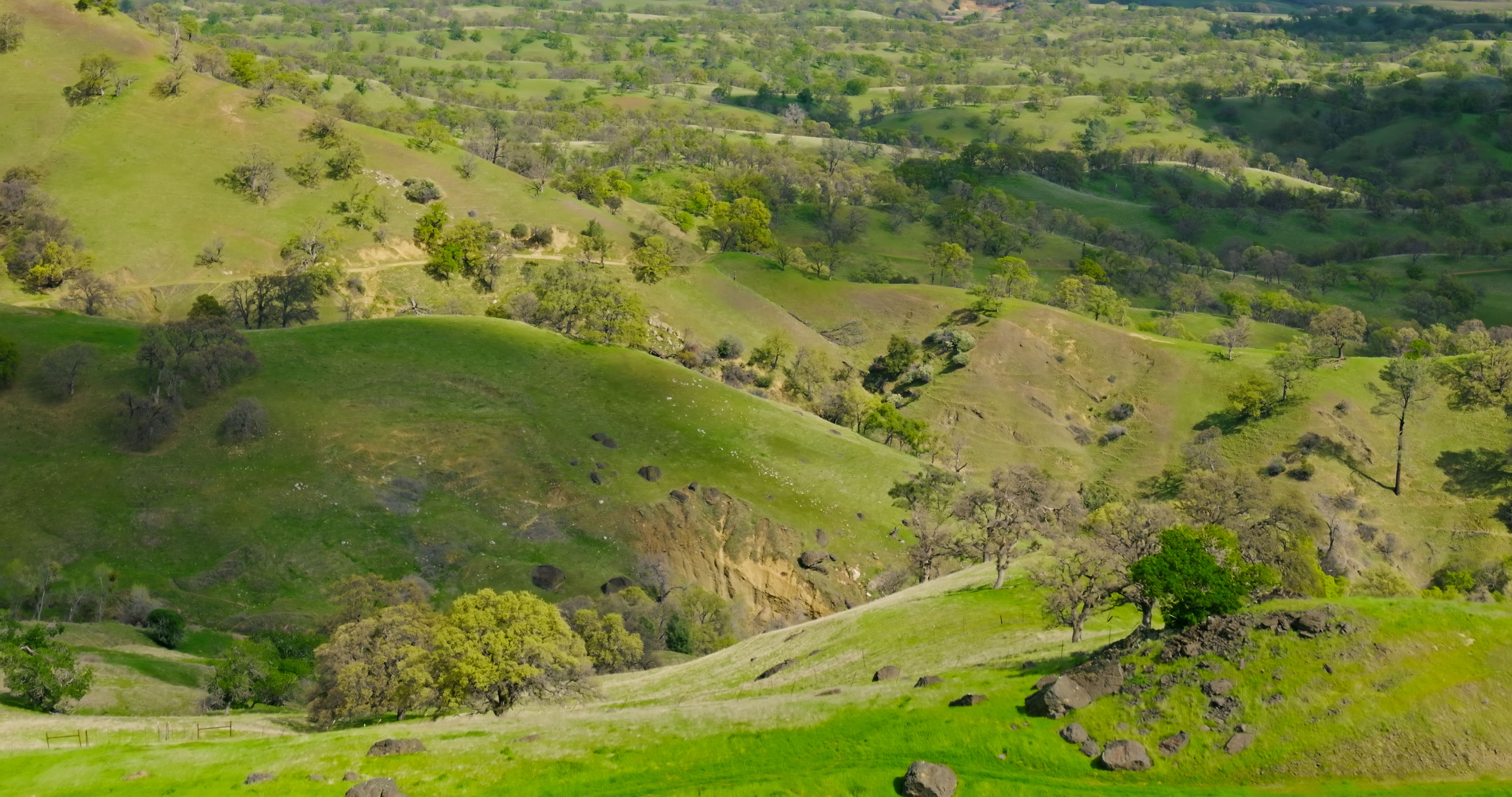 shingle springs landscape