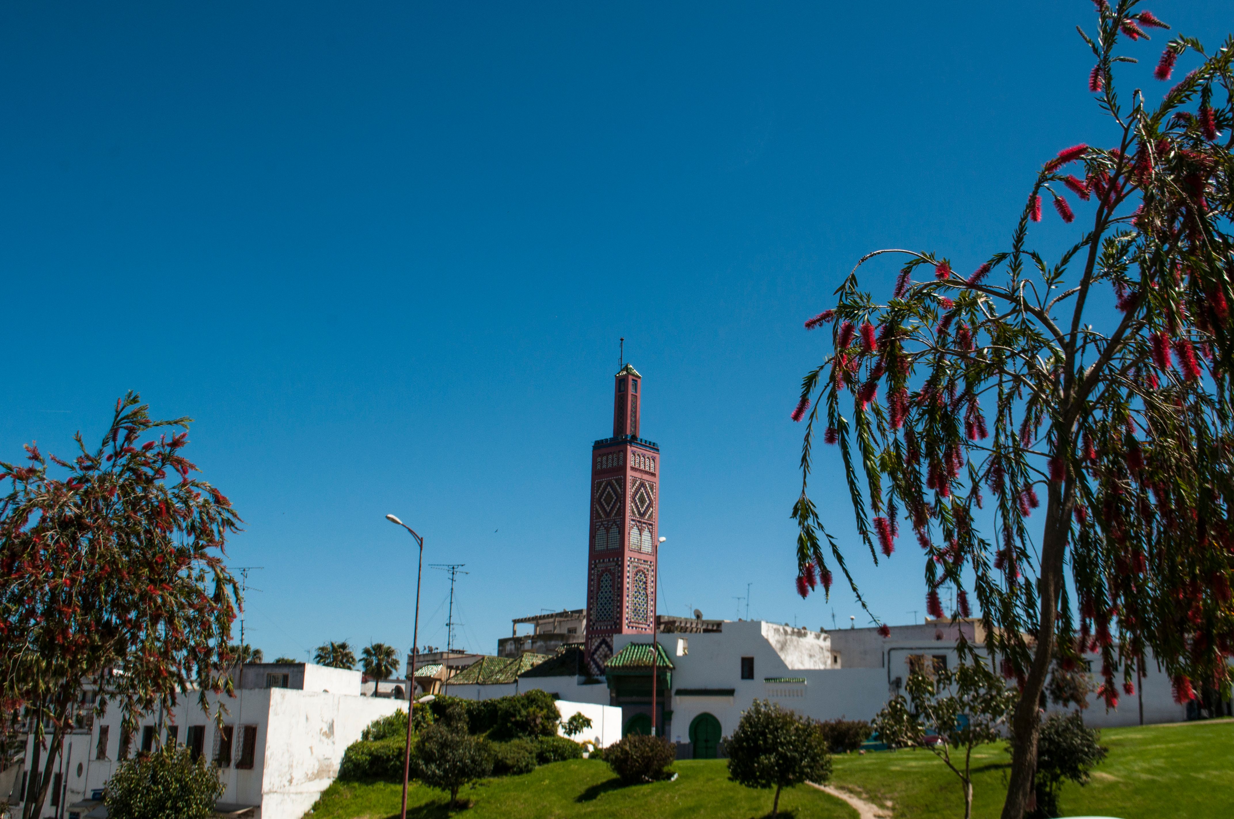 mendoubia gardens