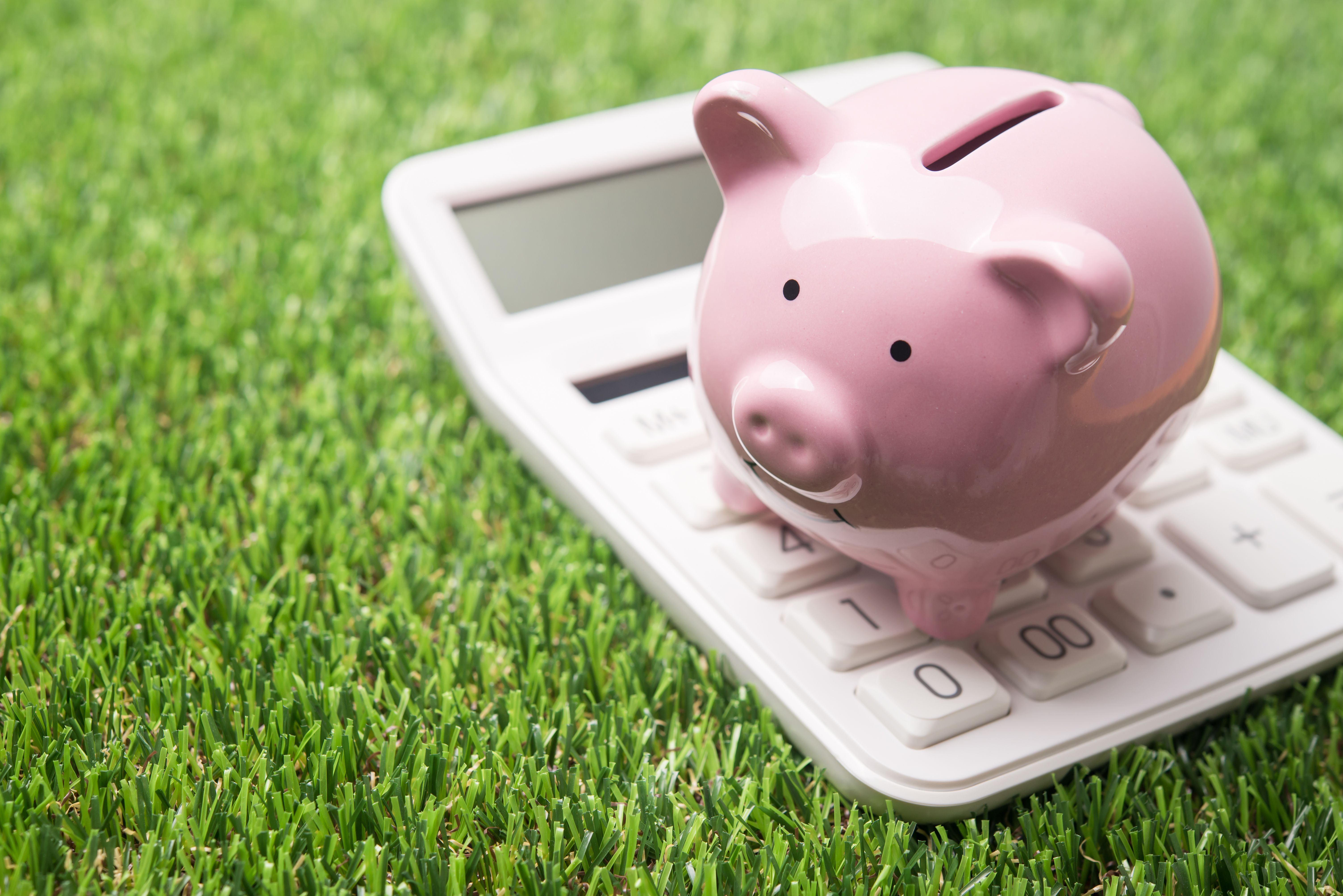 health savings account