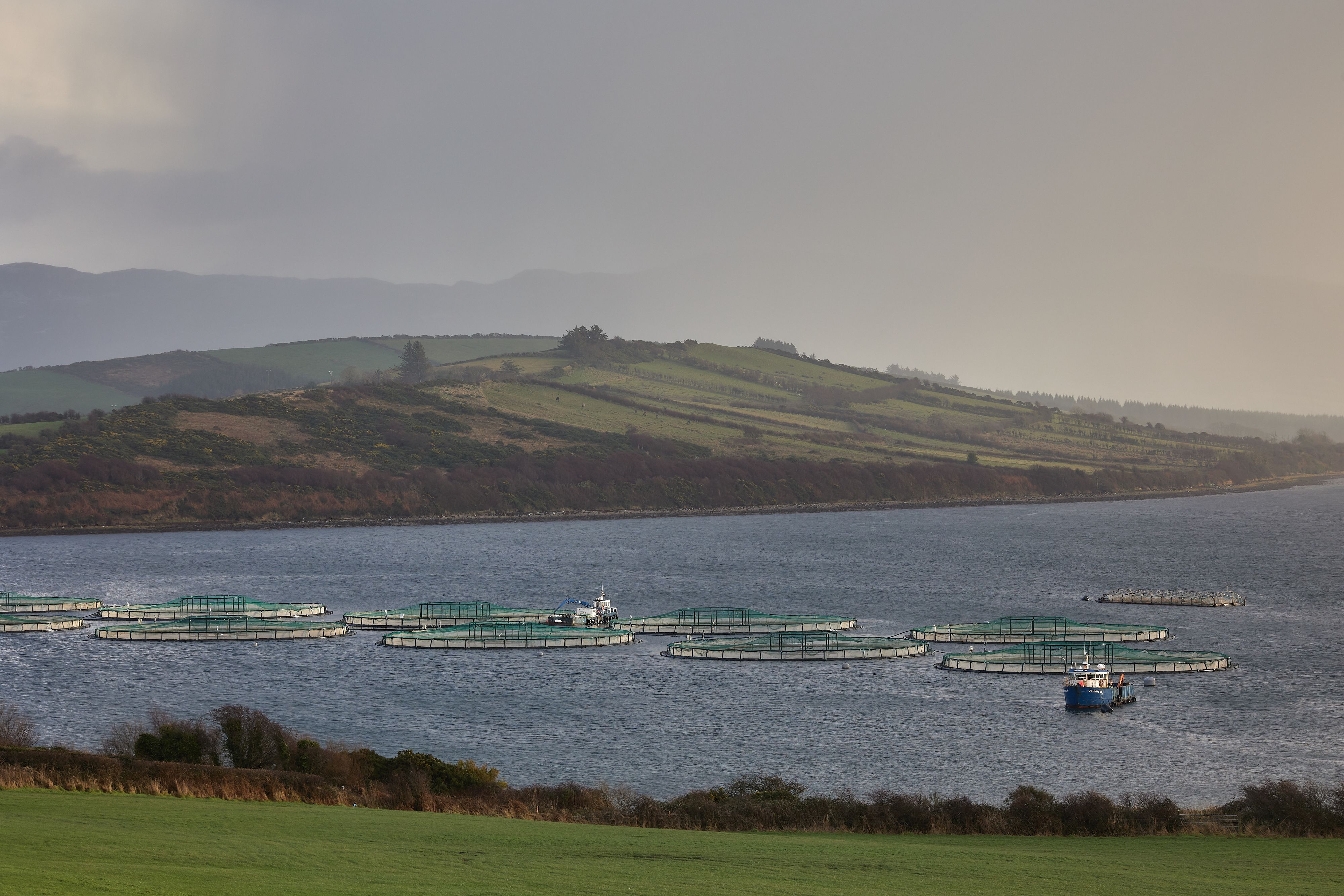 fish farm. Donegal Ireland, sustainability food production.