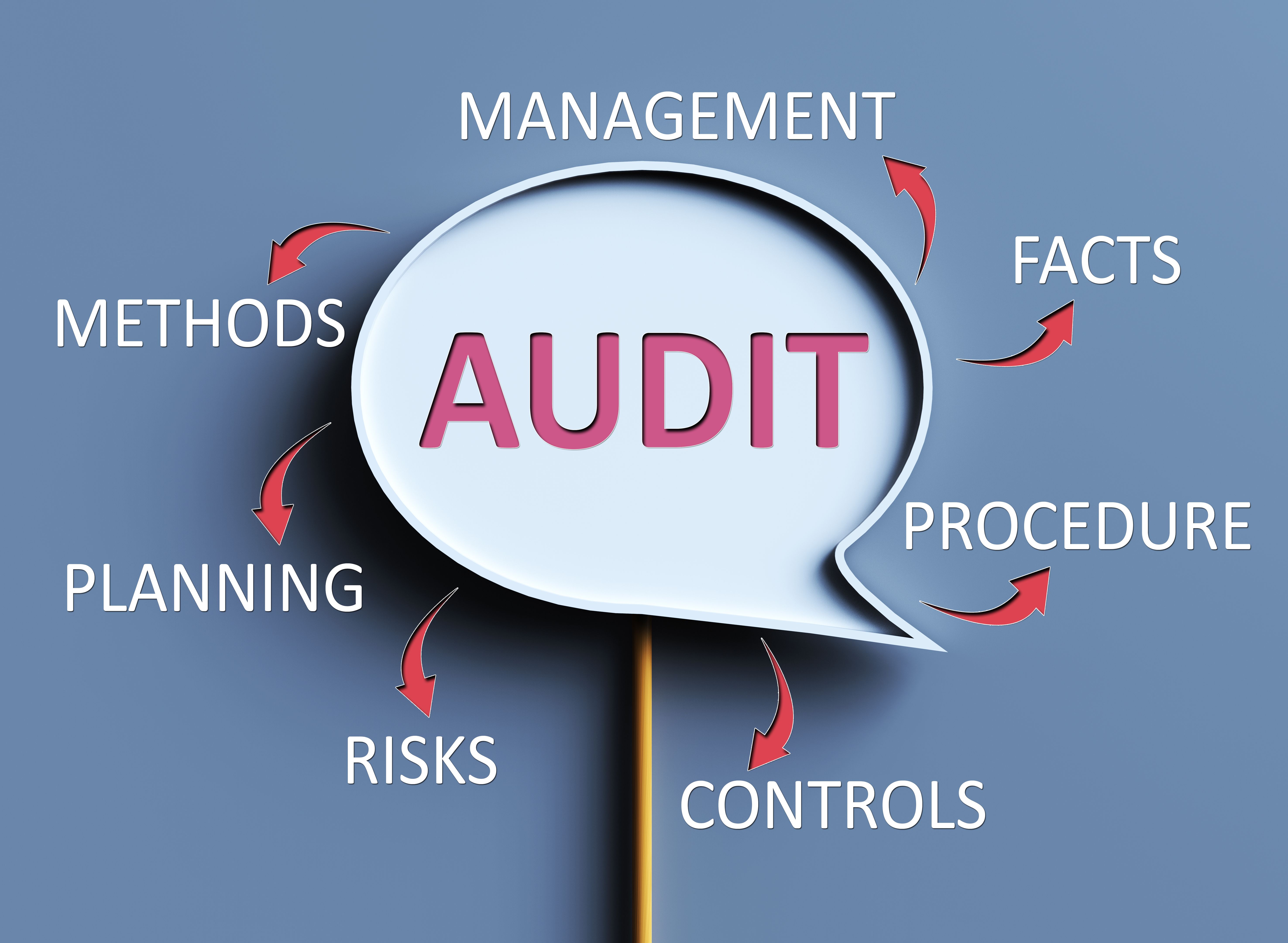 security audit process