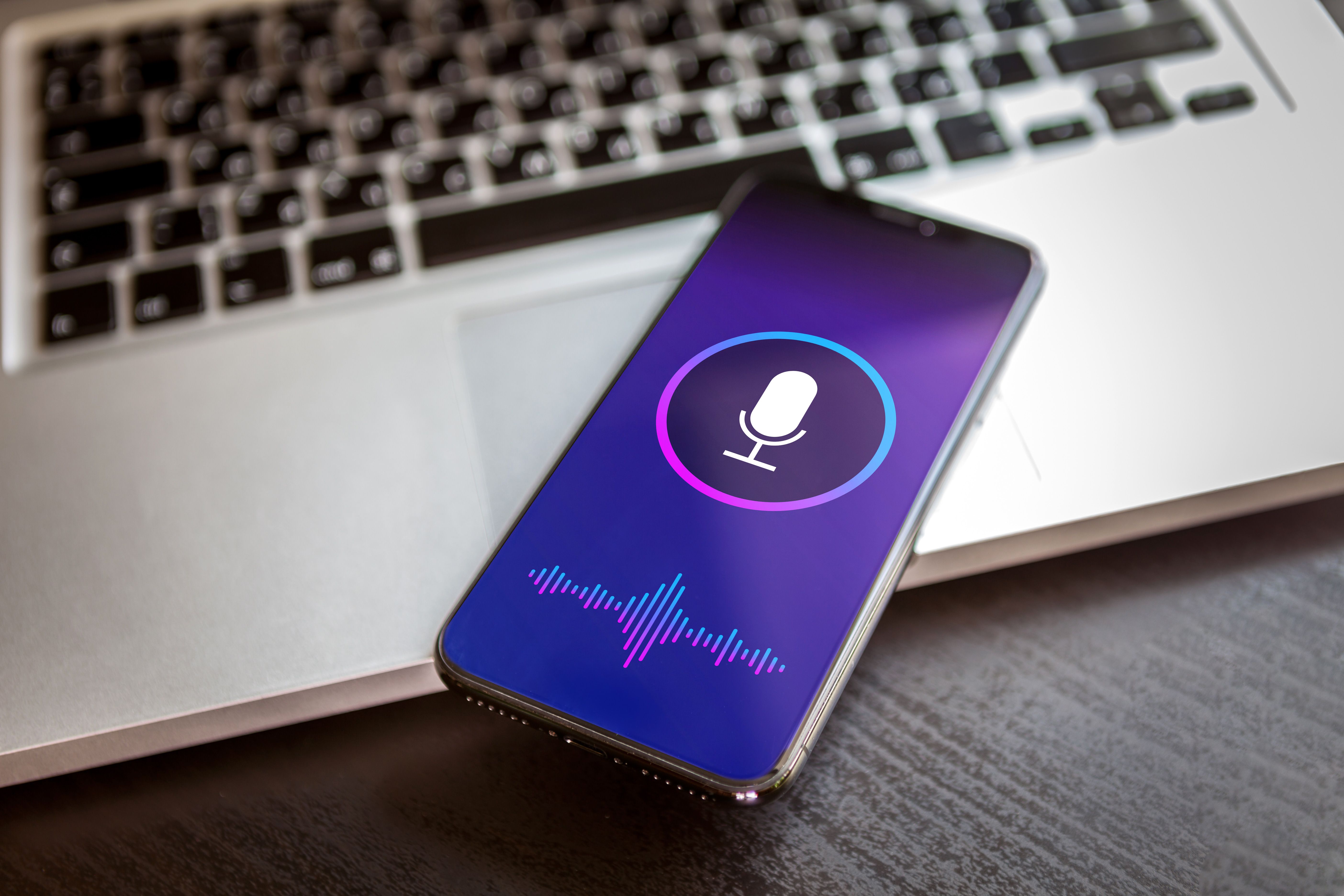 voice recognition software