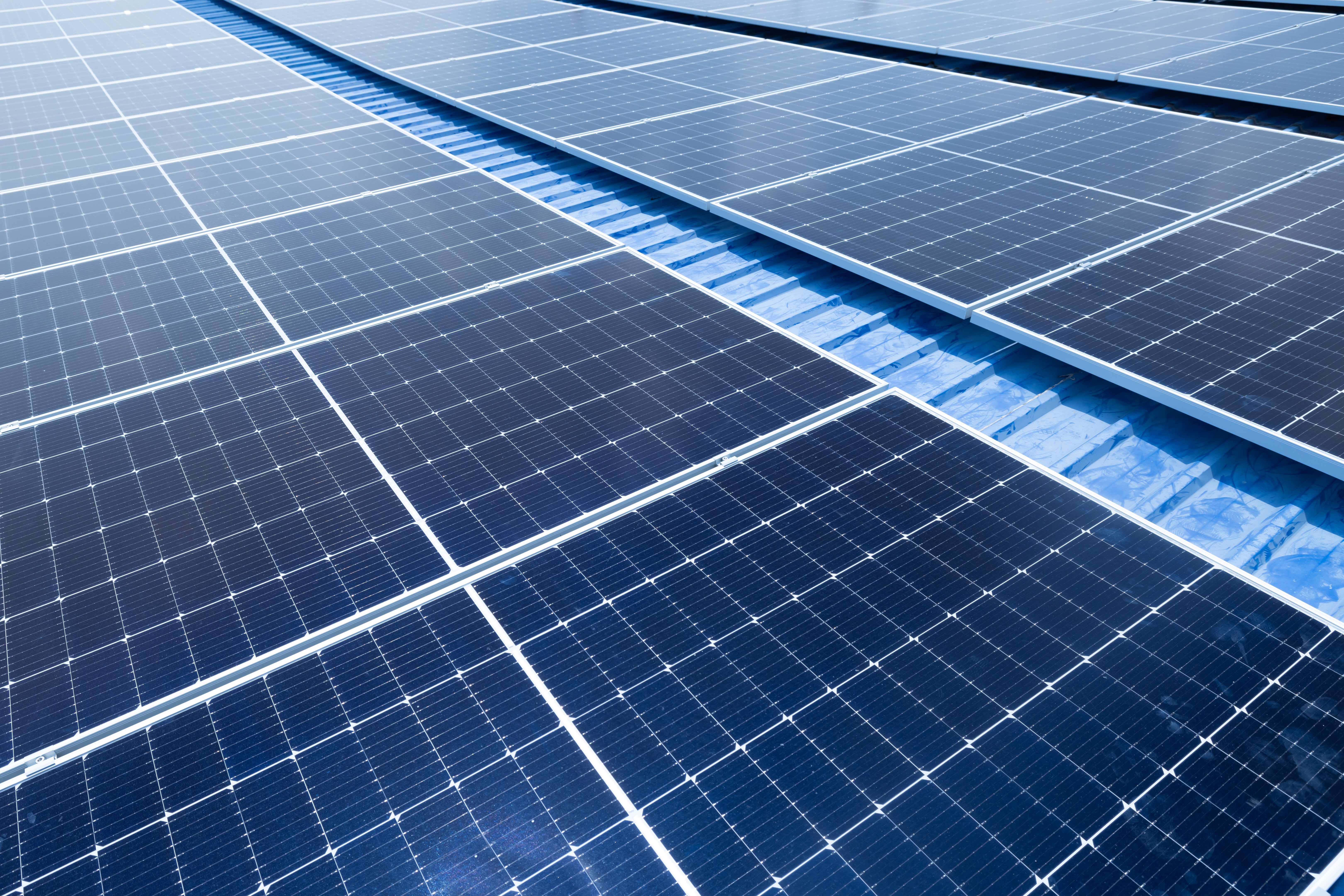 Esg framework companies in Africa