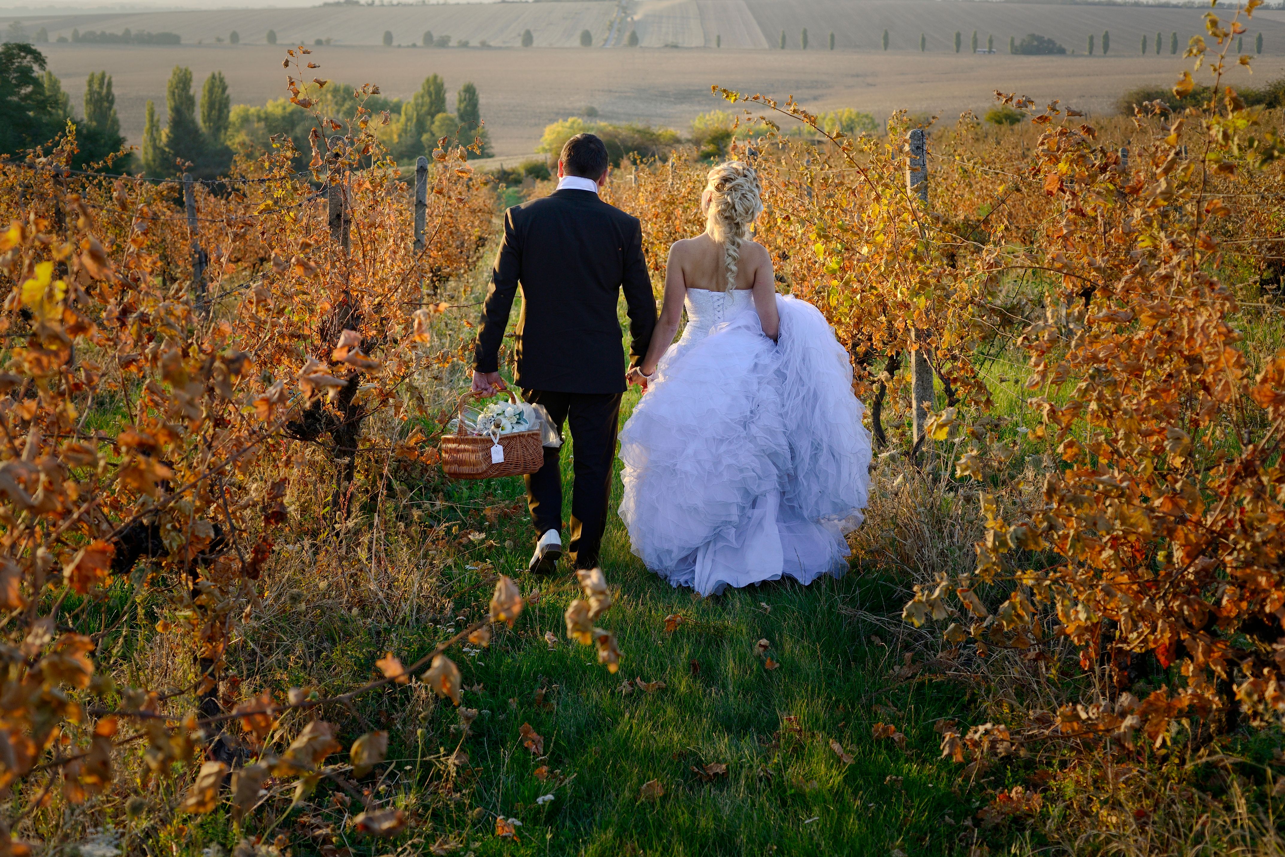 vineyard wedding