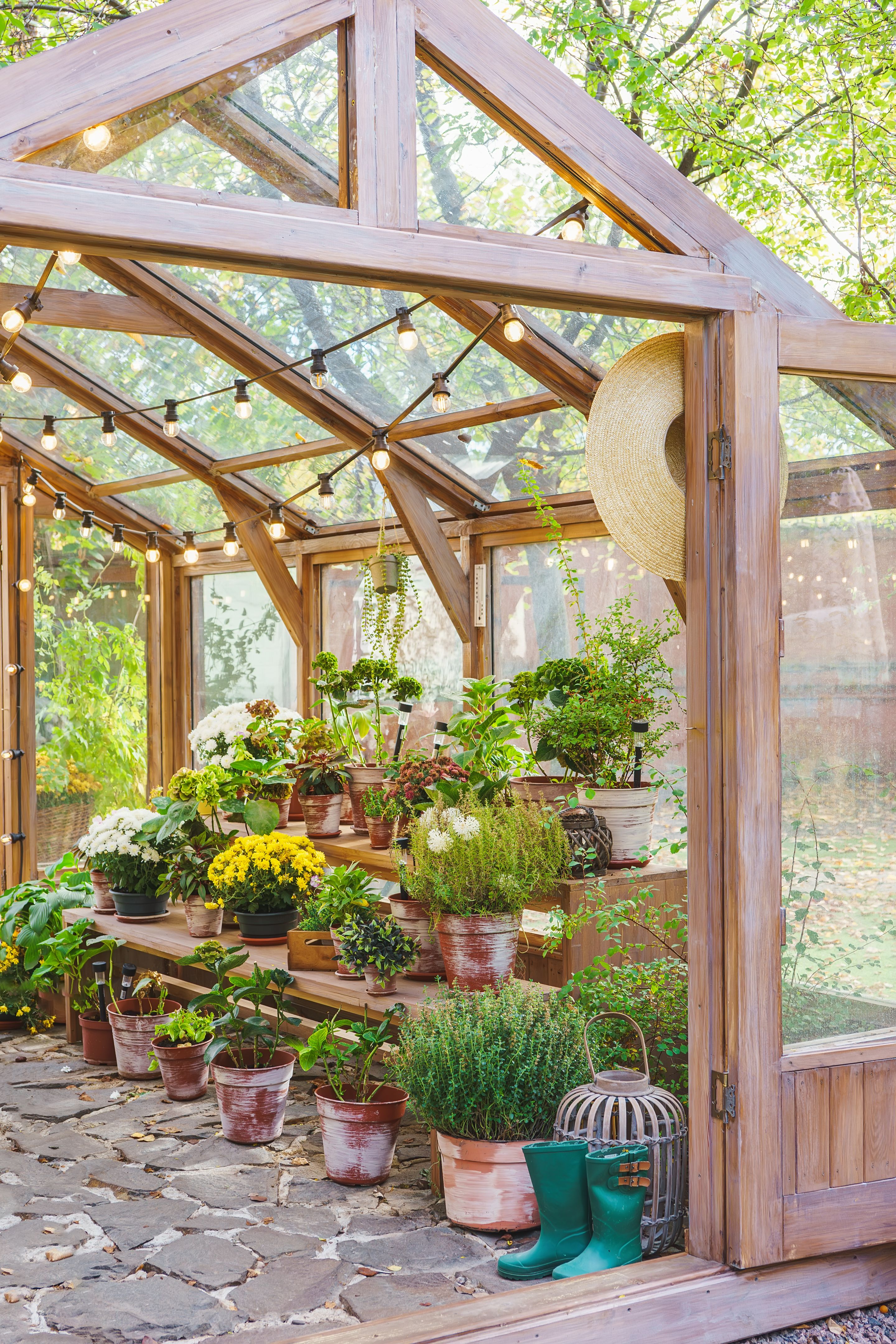 residential glass house