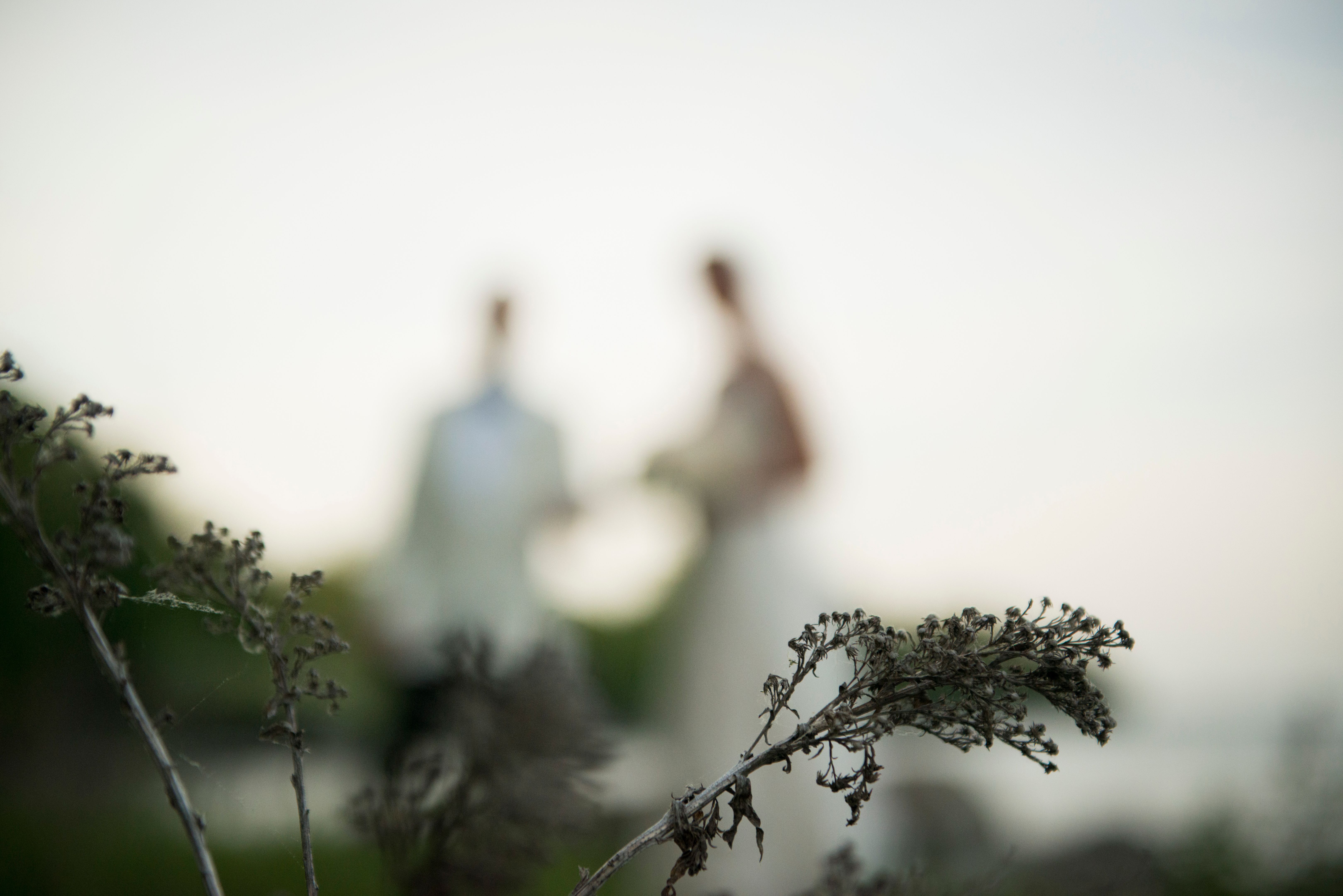outdoor wedding entertainment