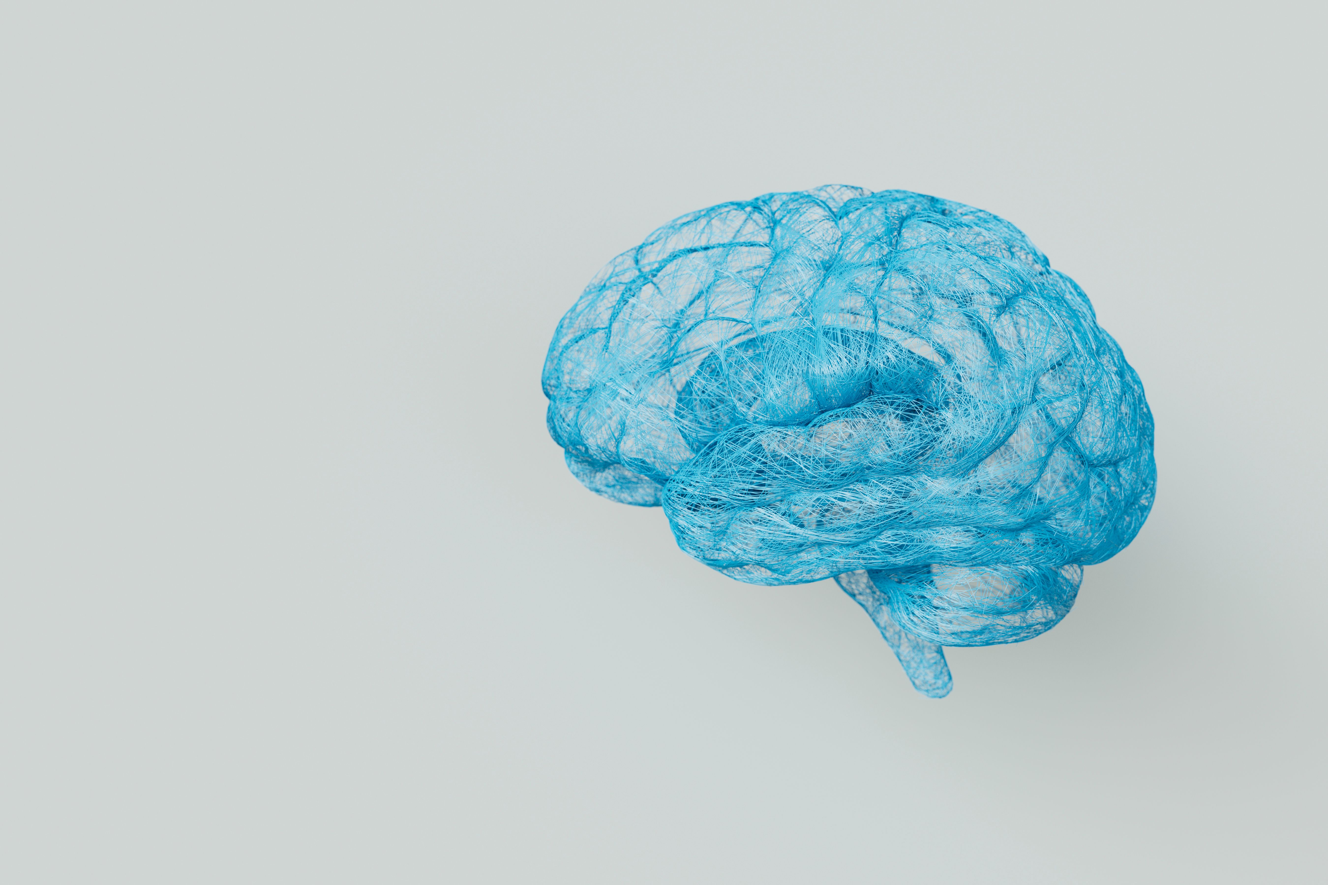3D Human Brain On White Background Neuron Wiring Mental Health 3D Human Brain On White Background Neuron Wiring Mental Health