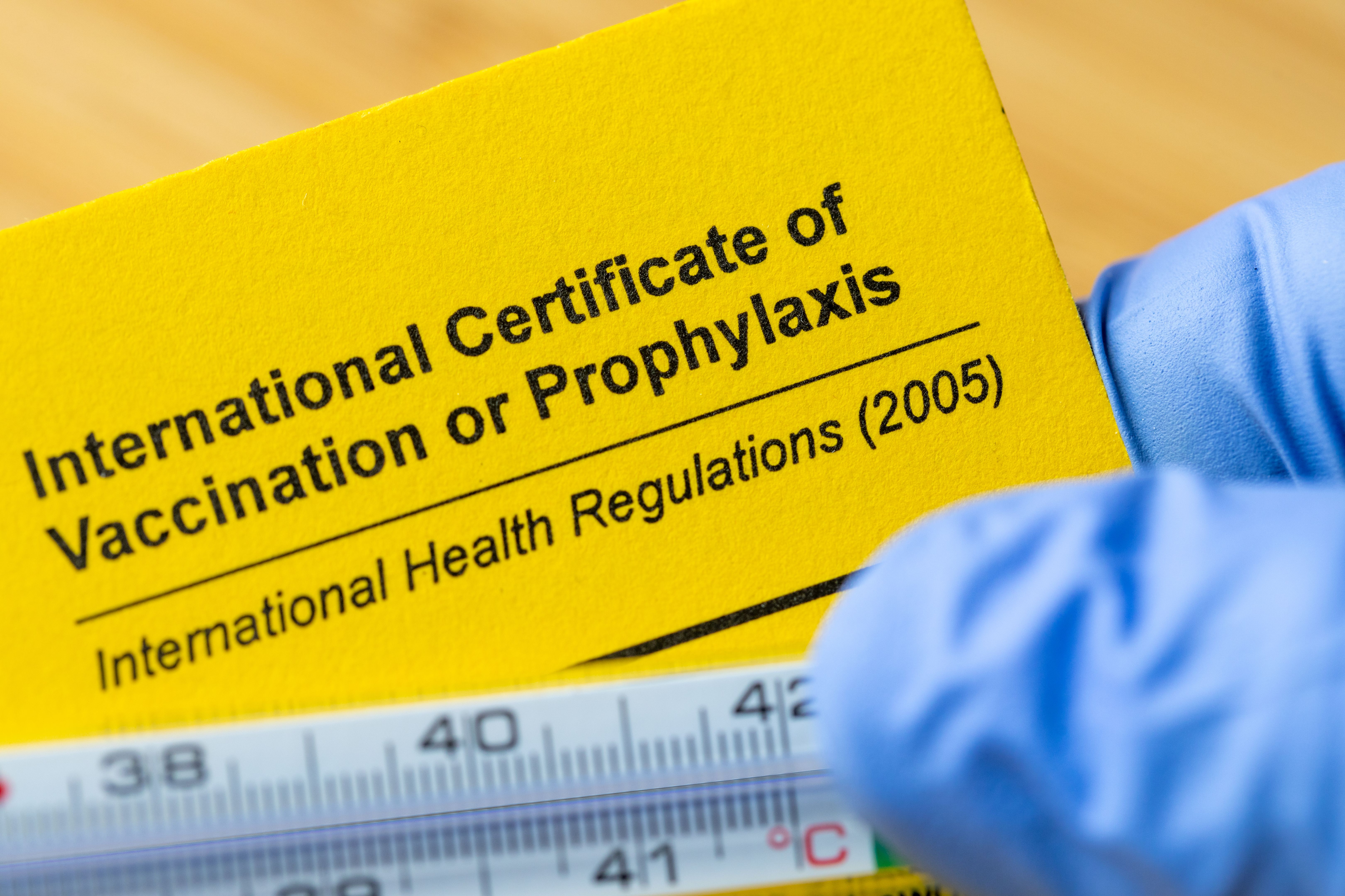 medical visa document