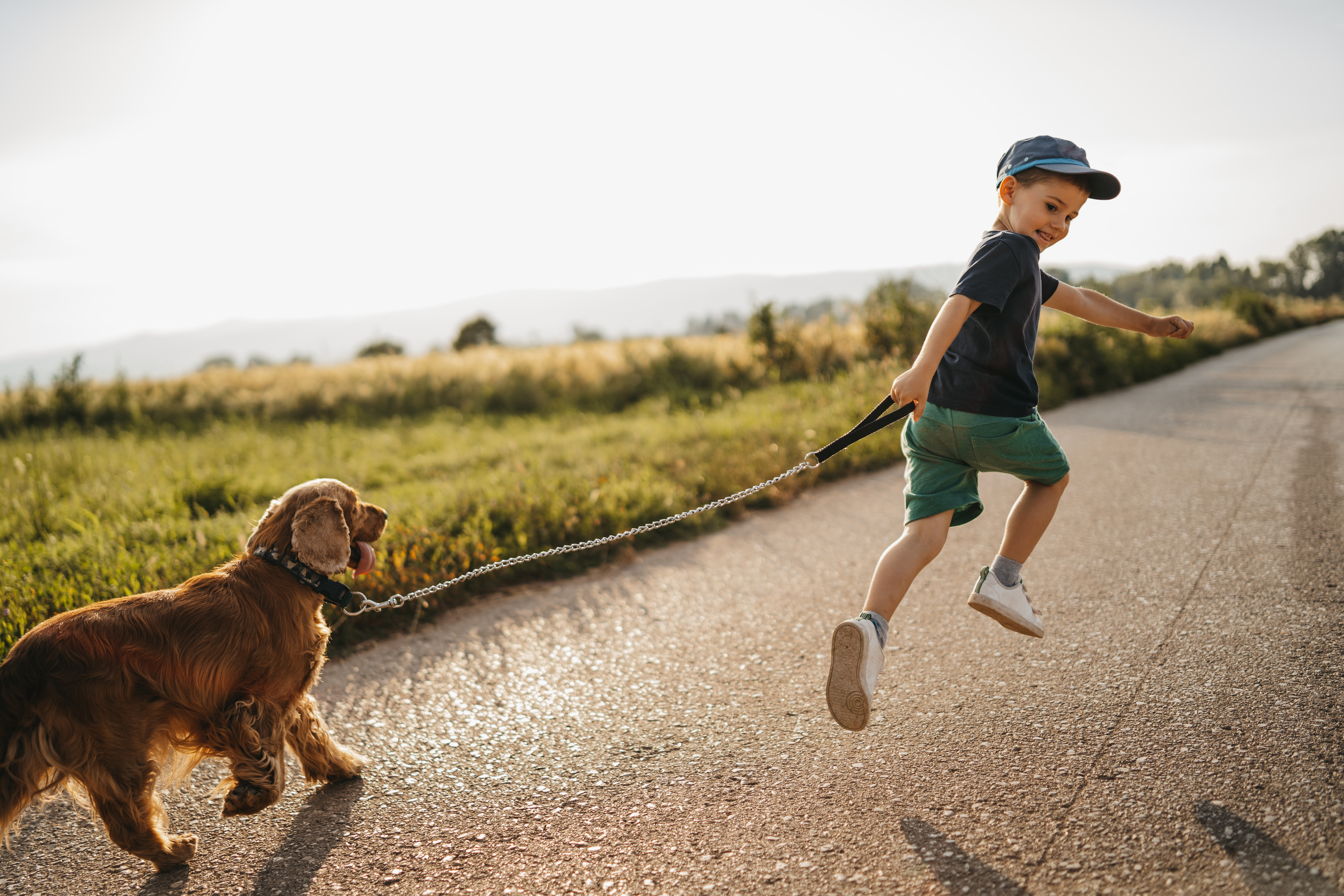 AZ Tail Wag AZ Tail Wag