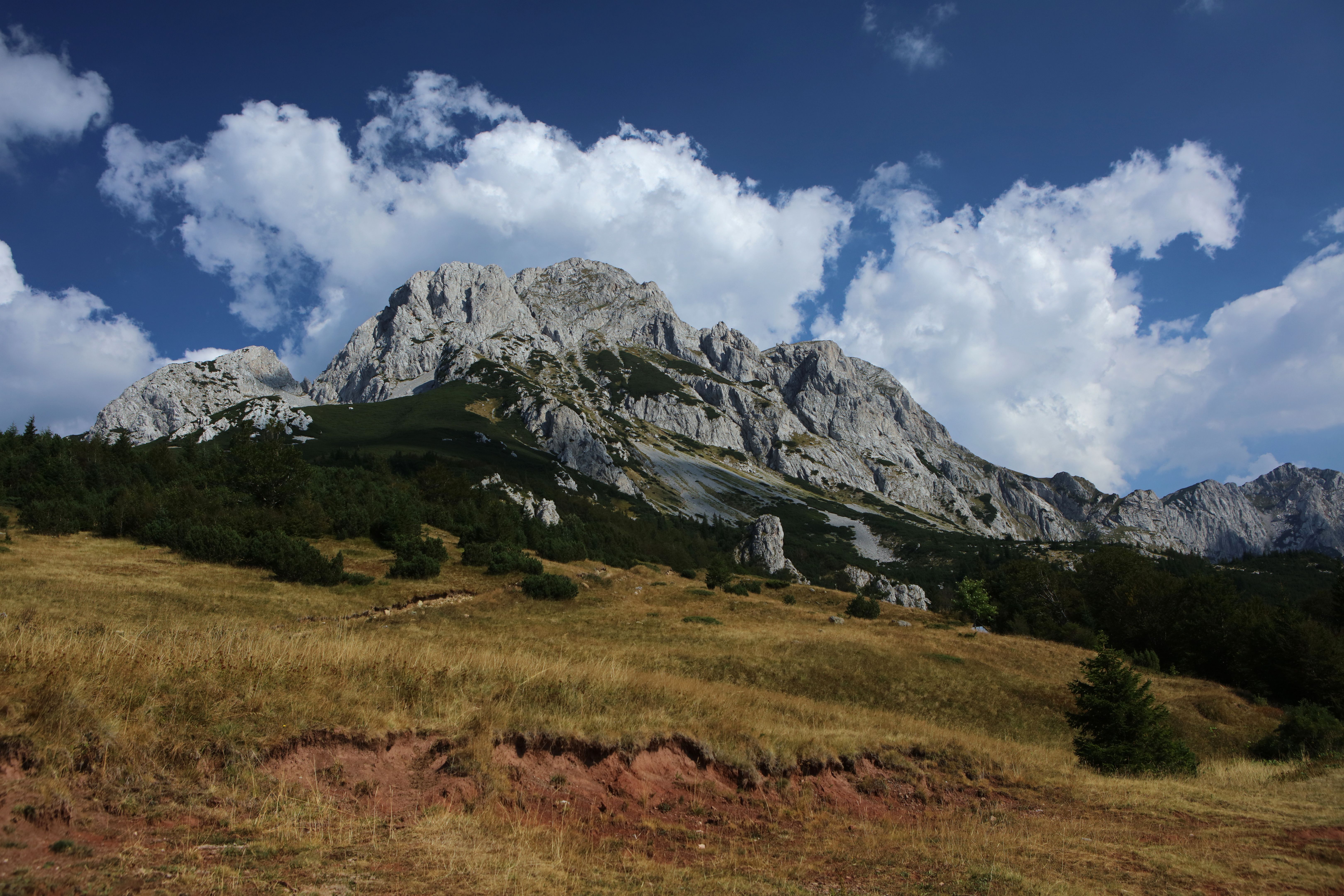 sutjeska park