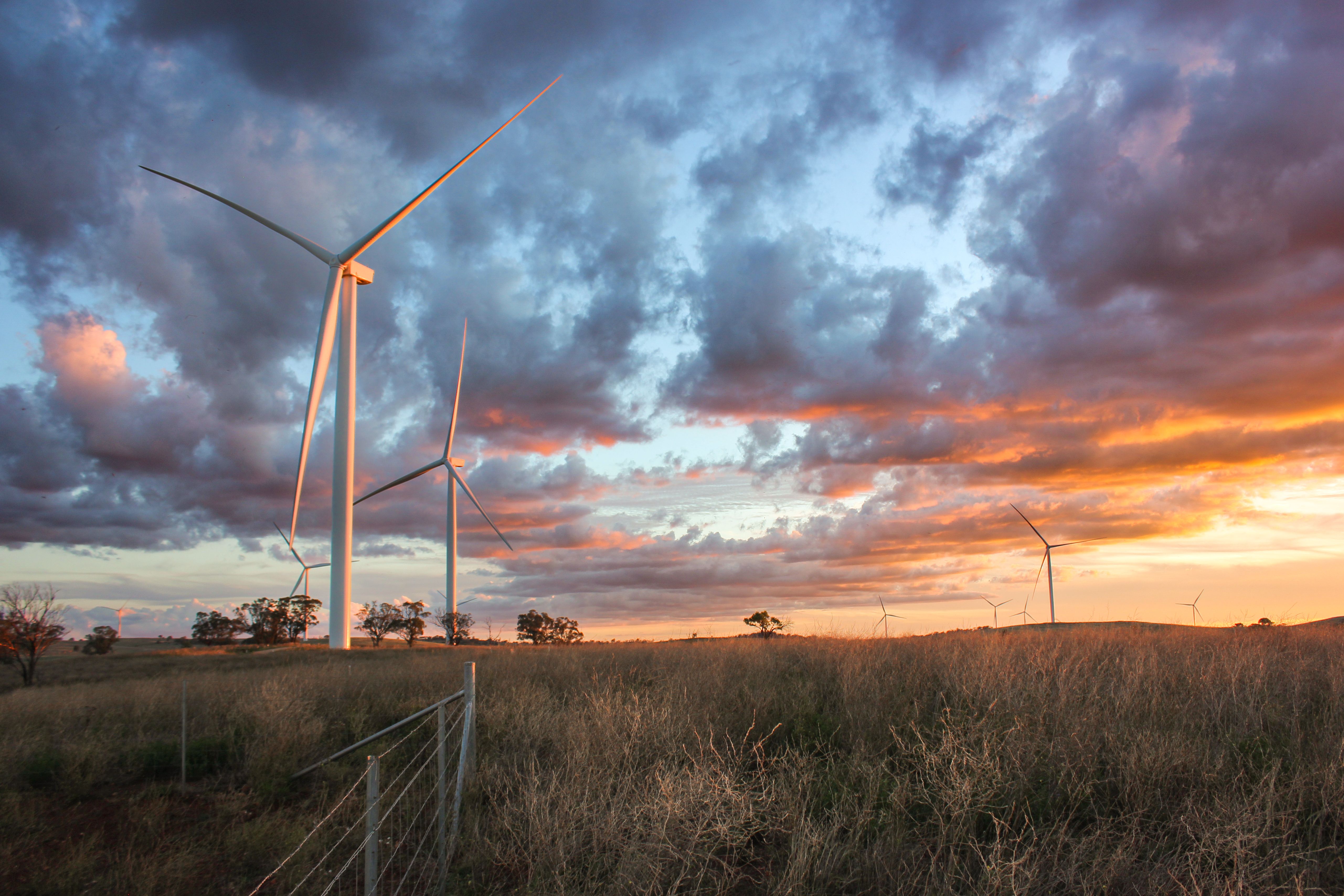 wind farm australia