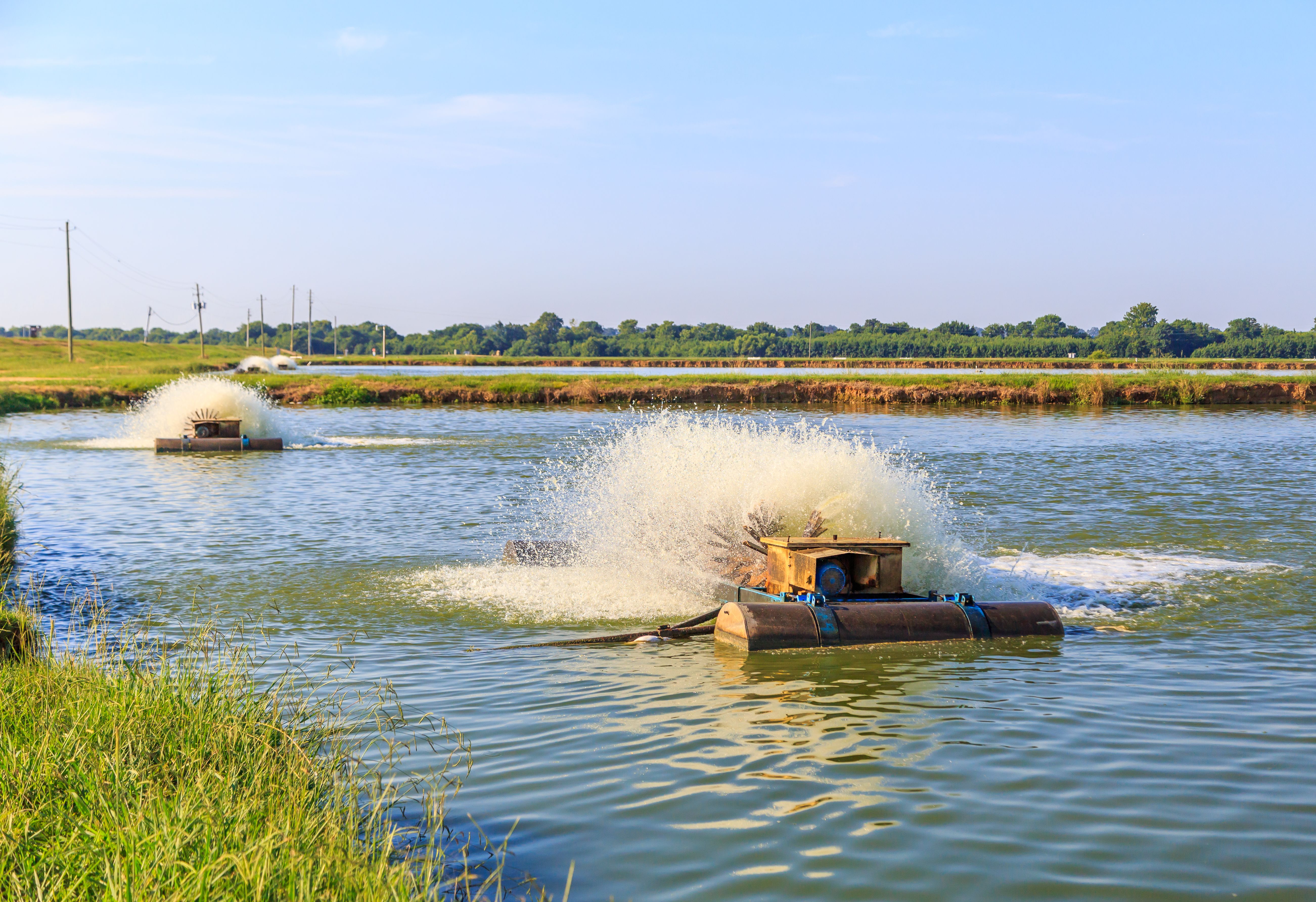 Electric Aerators on Catfish Farm