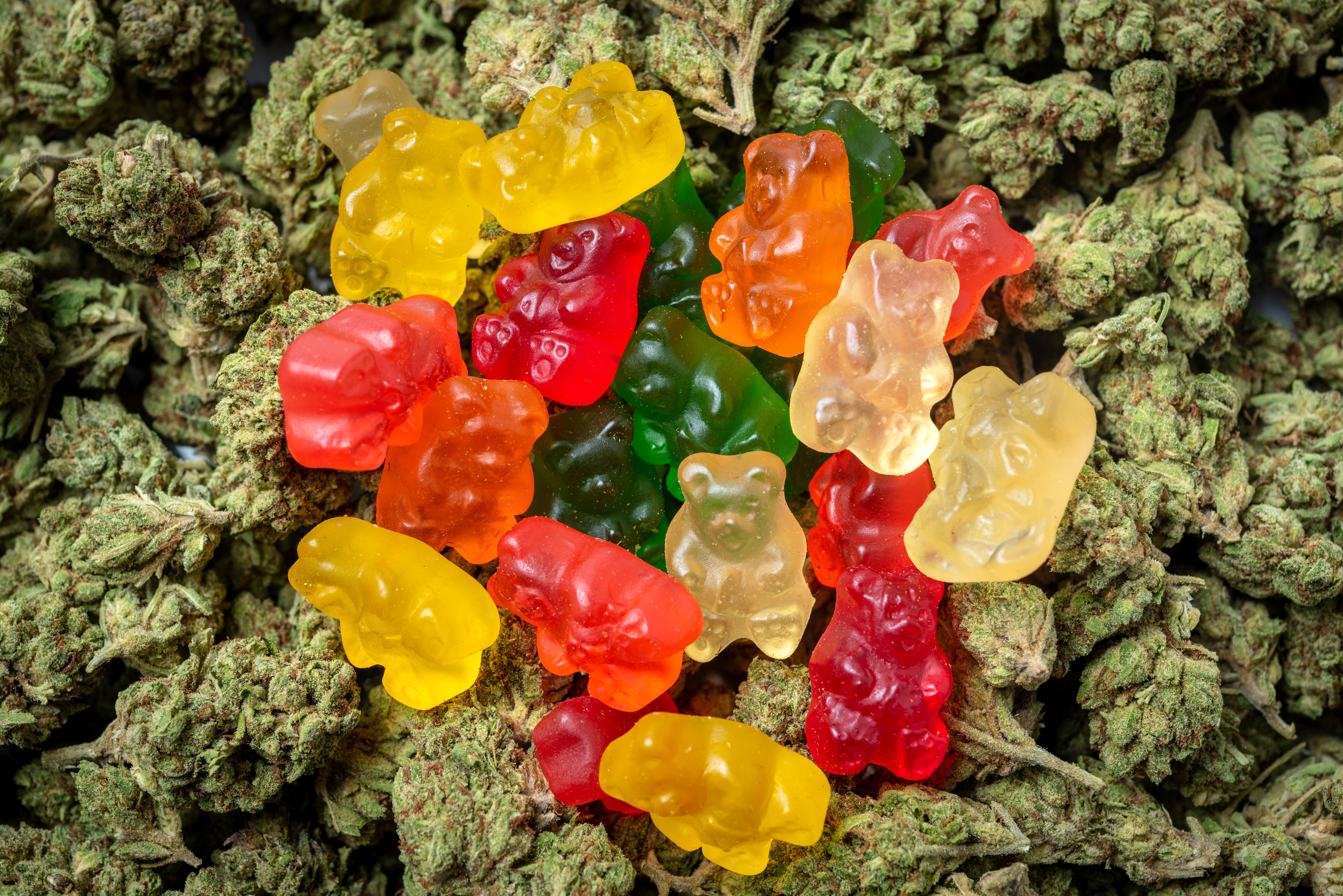 cannabis edibles
