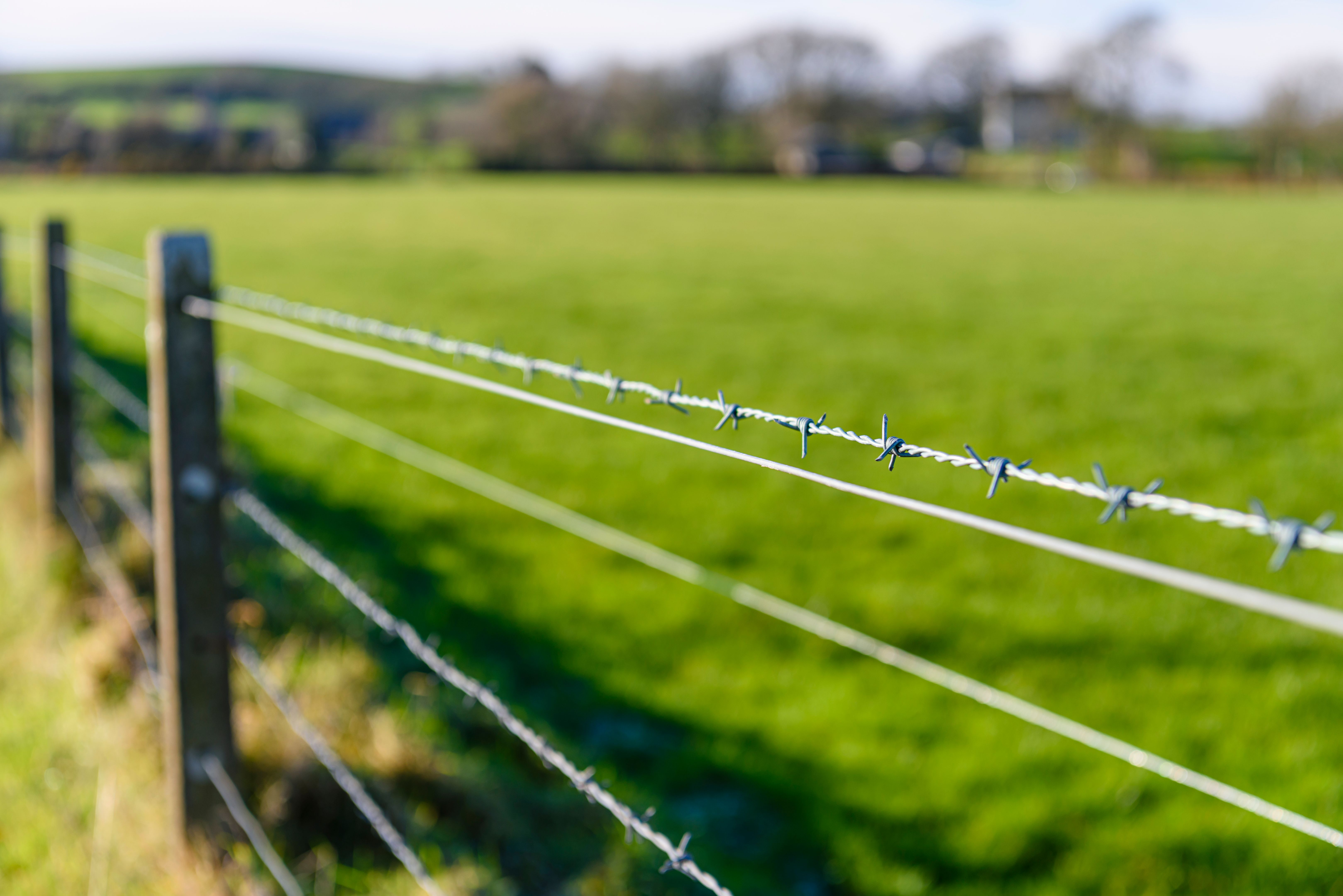 Barbed wire fence at a field