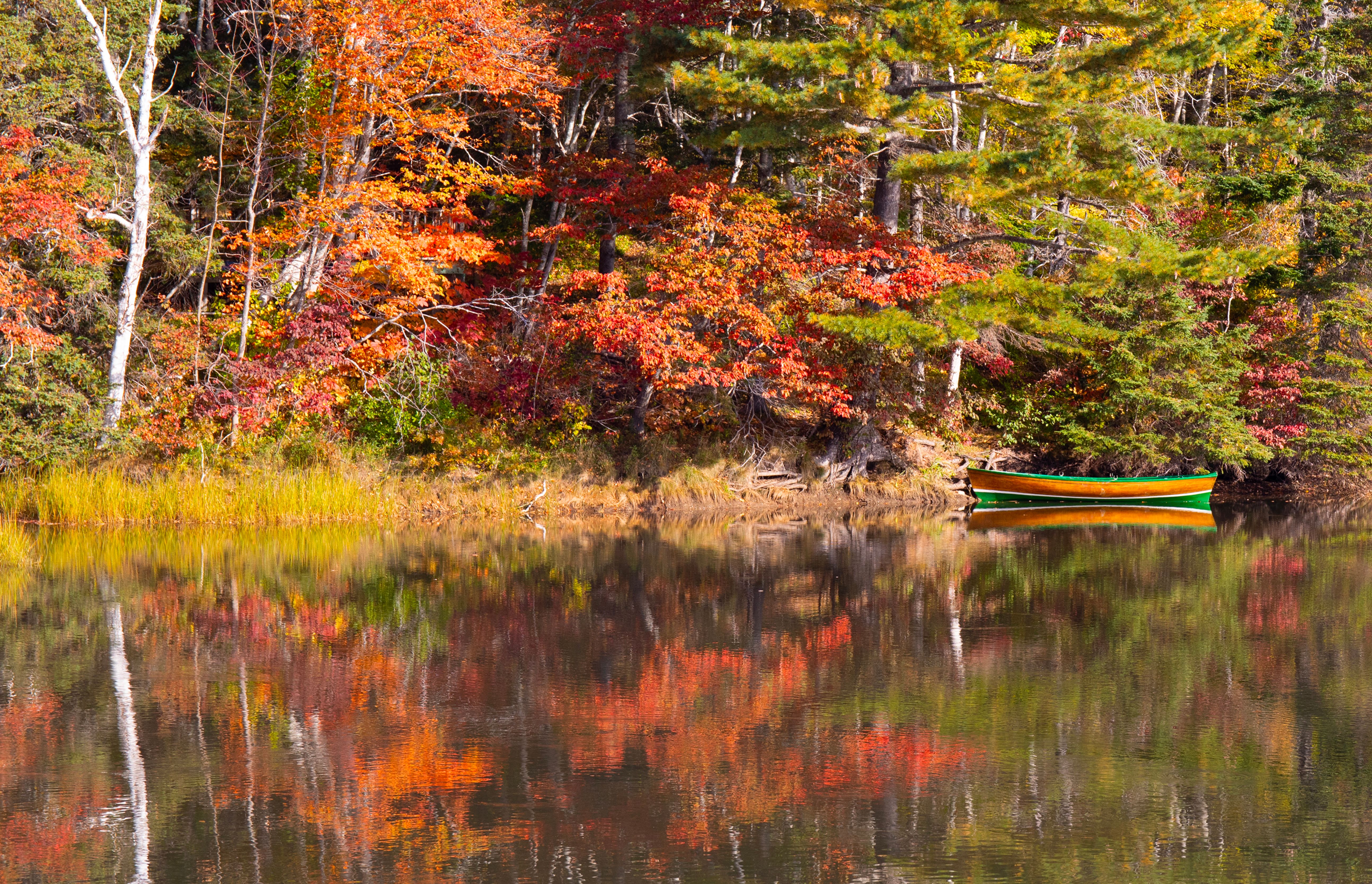 autumn reflection video