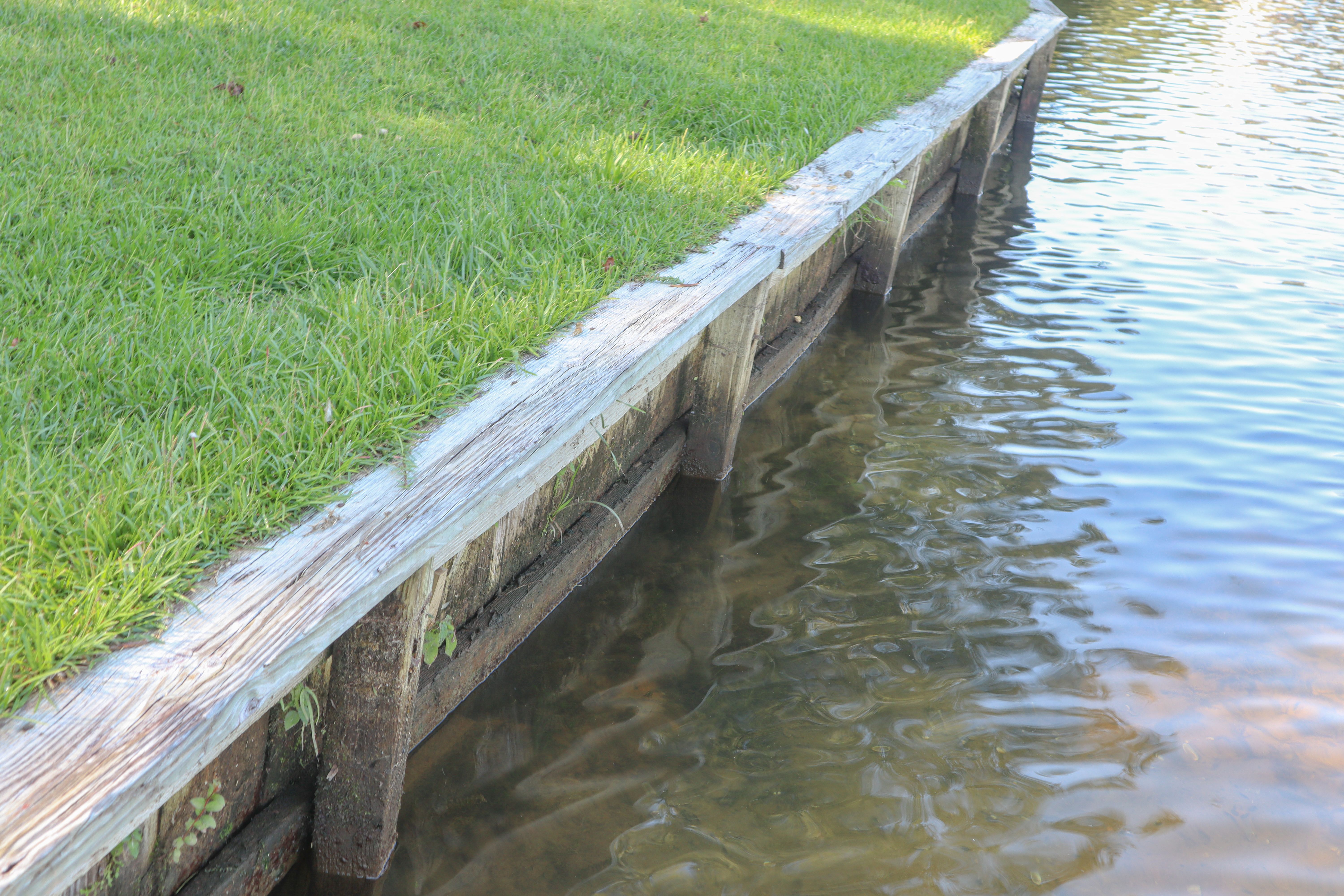 timber water protection