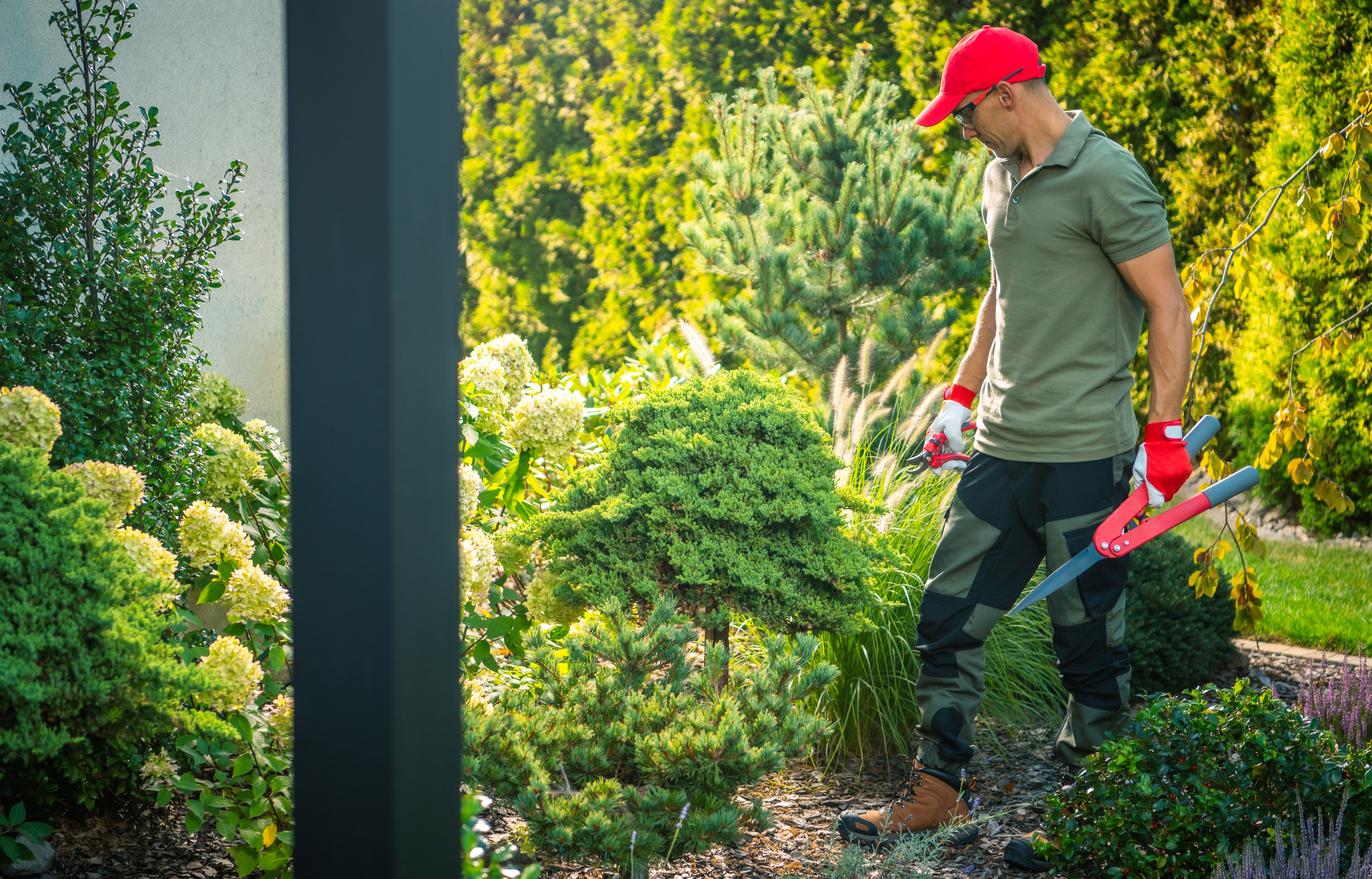 garden maintenance