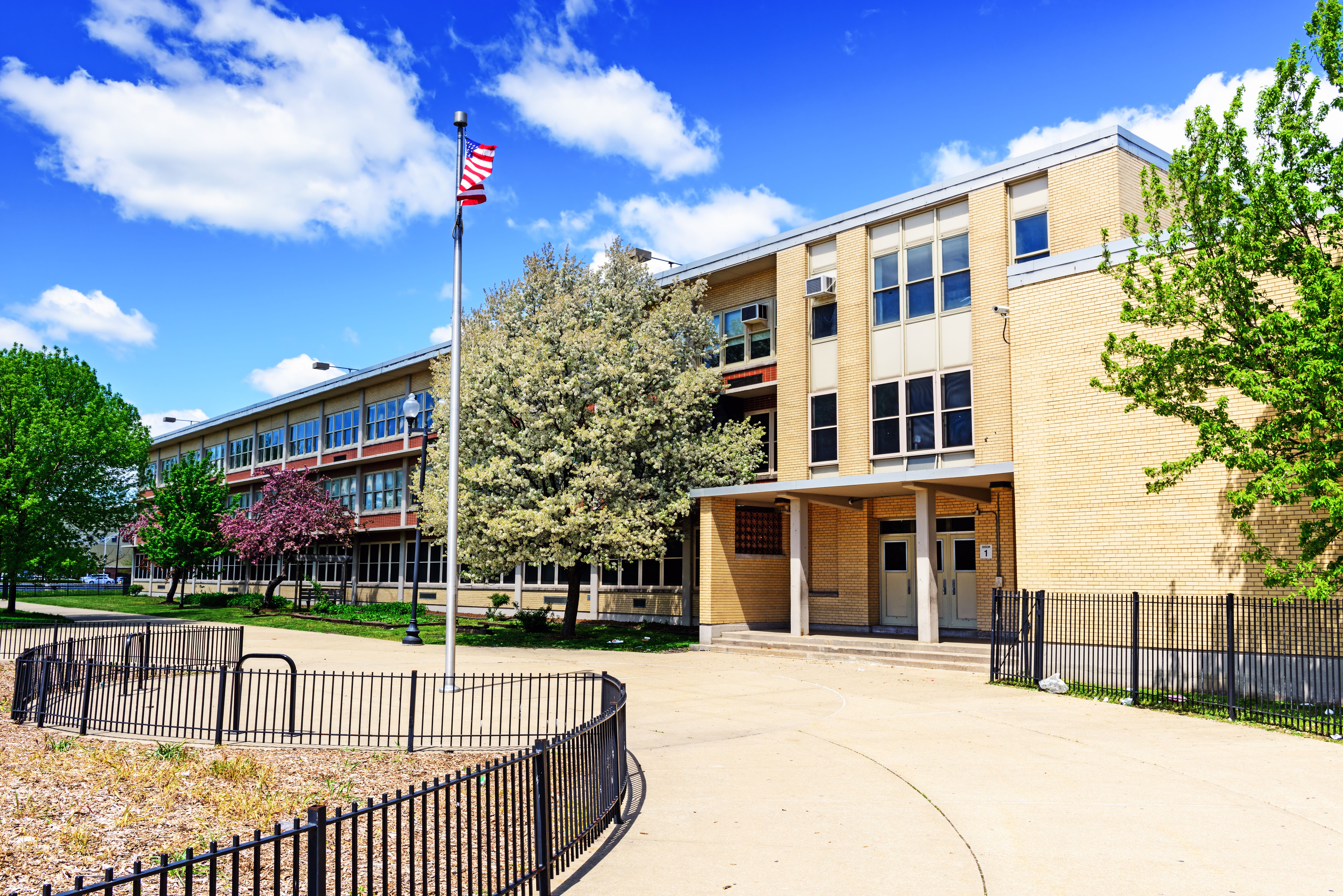 chicago school consultation