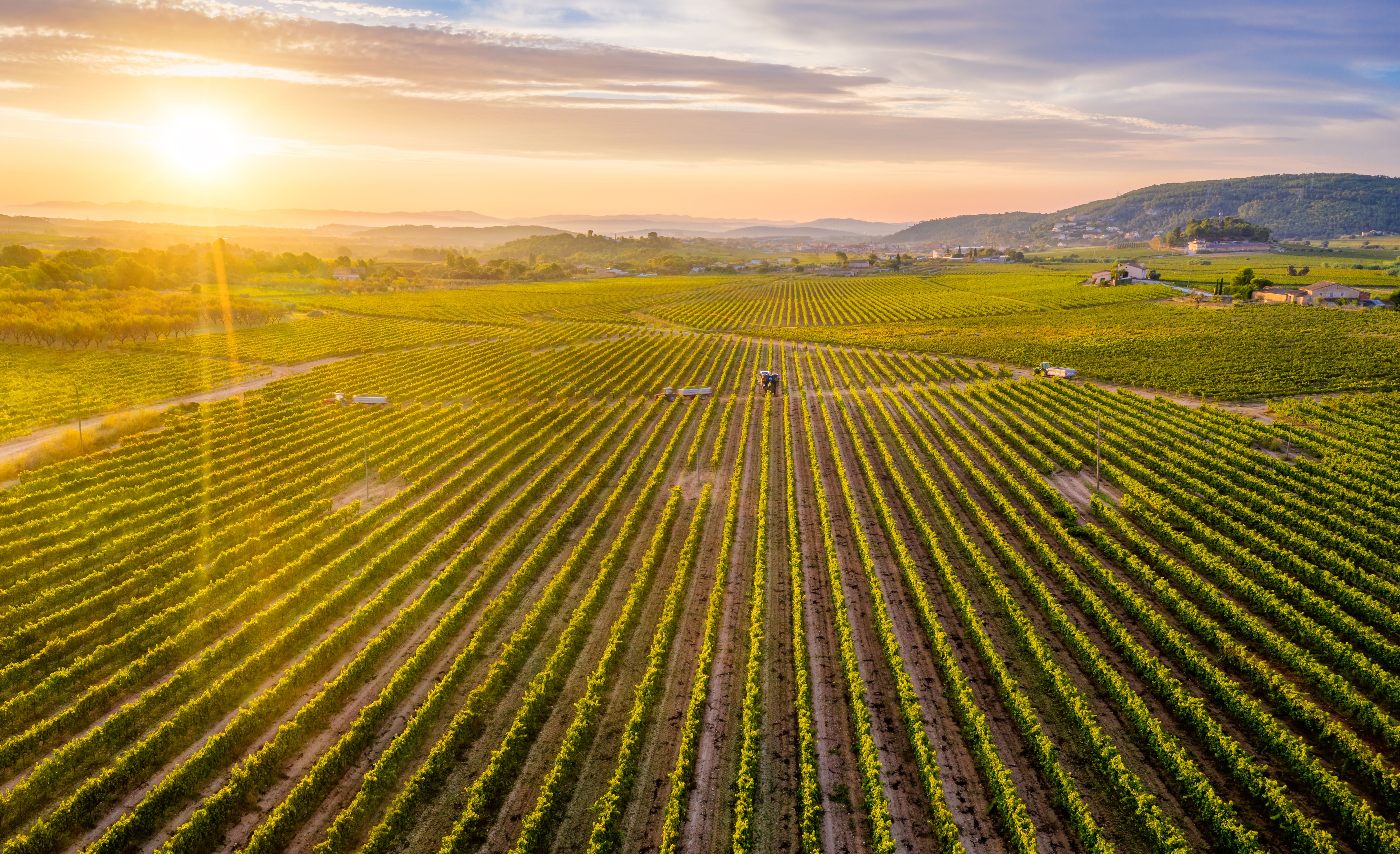 farming landscape
