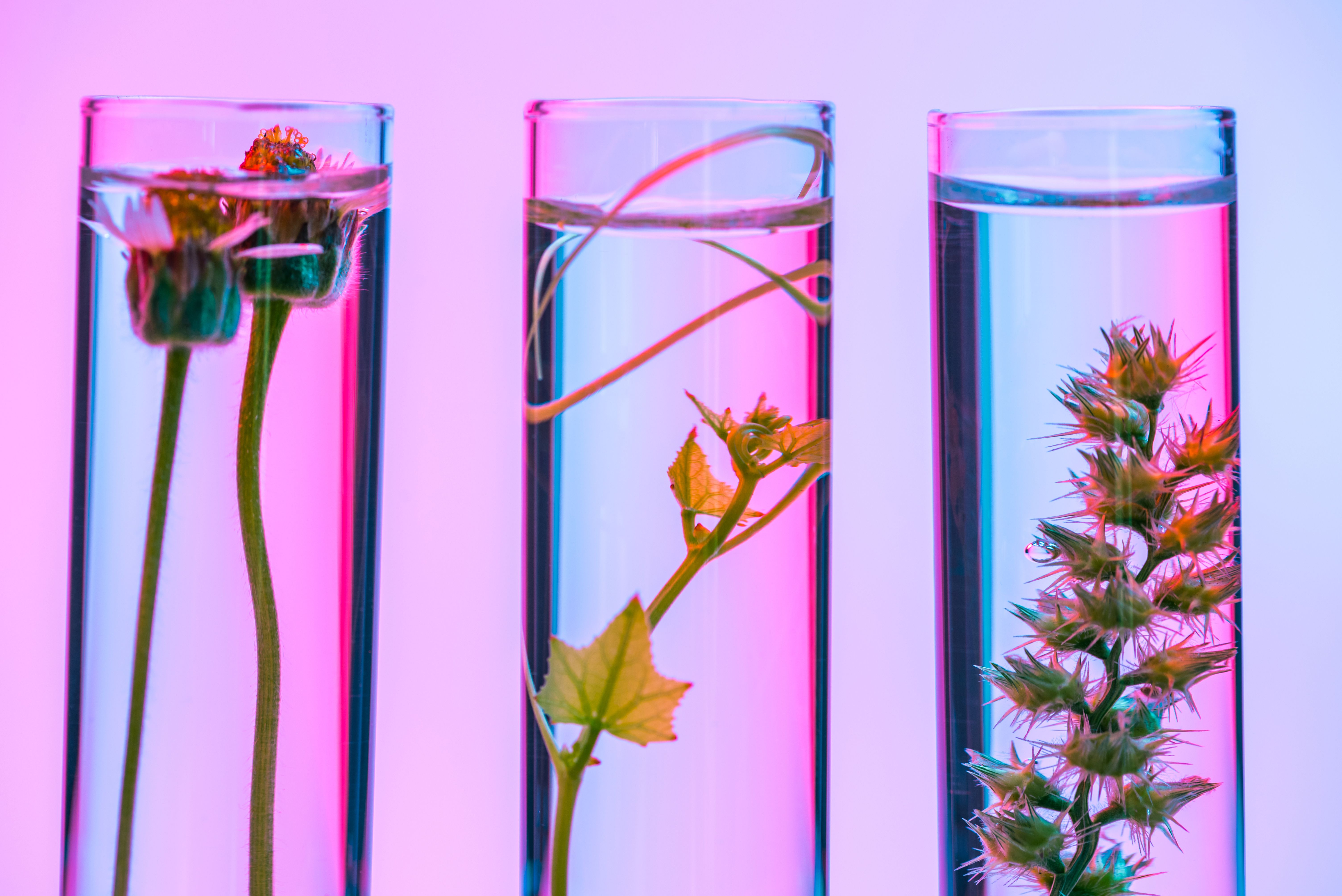 biotechnology beauty