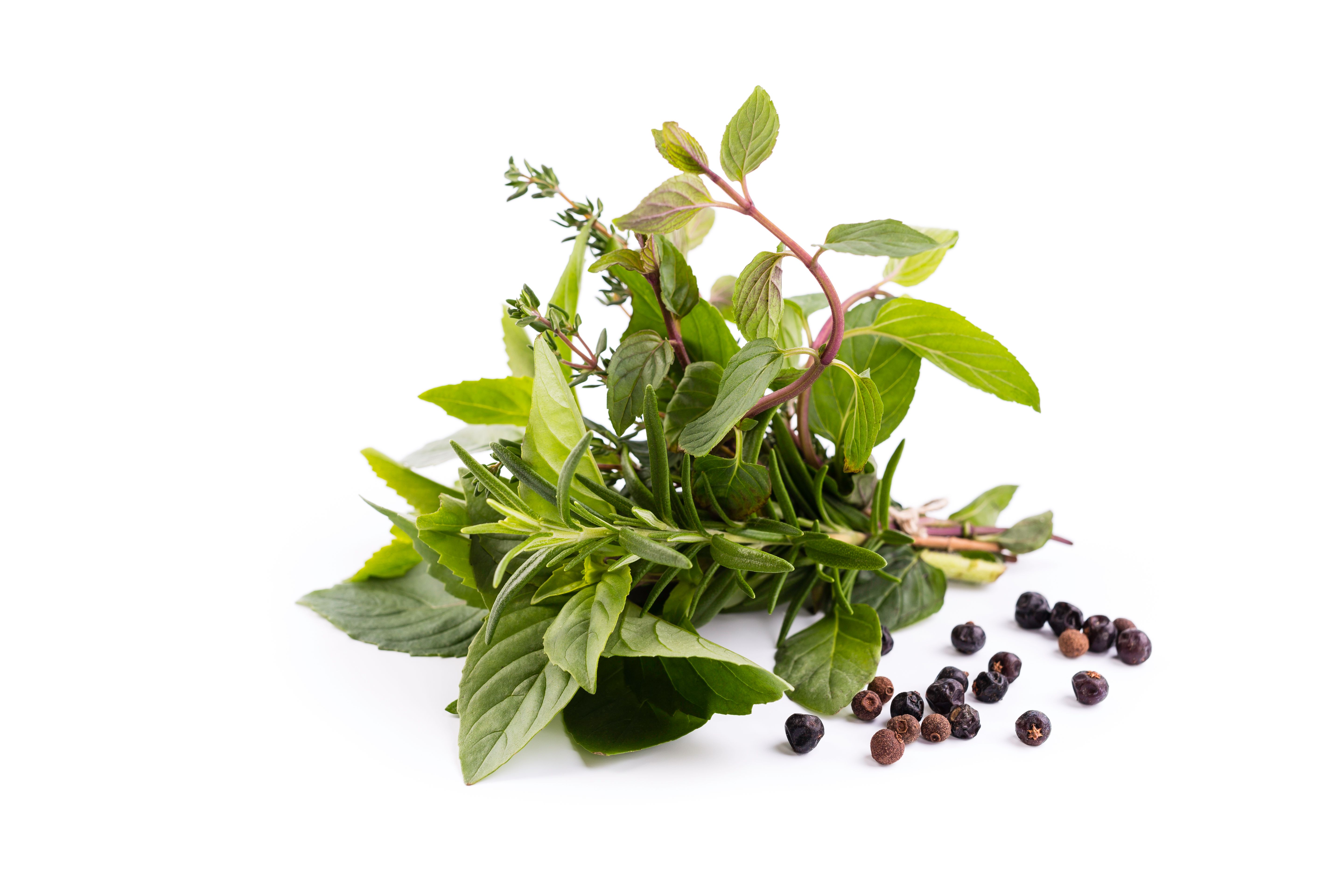 herb garnish