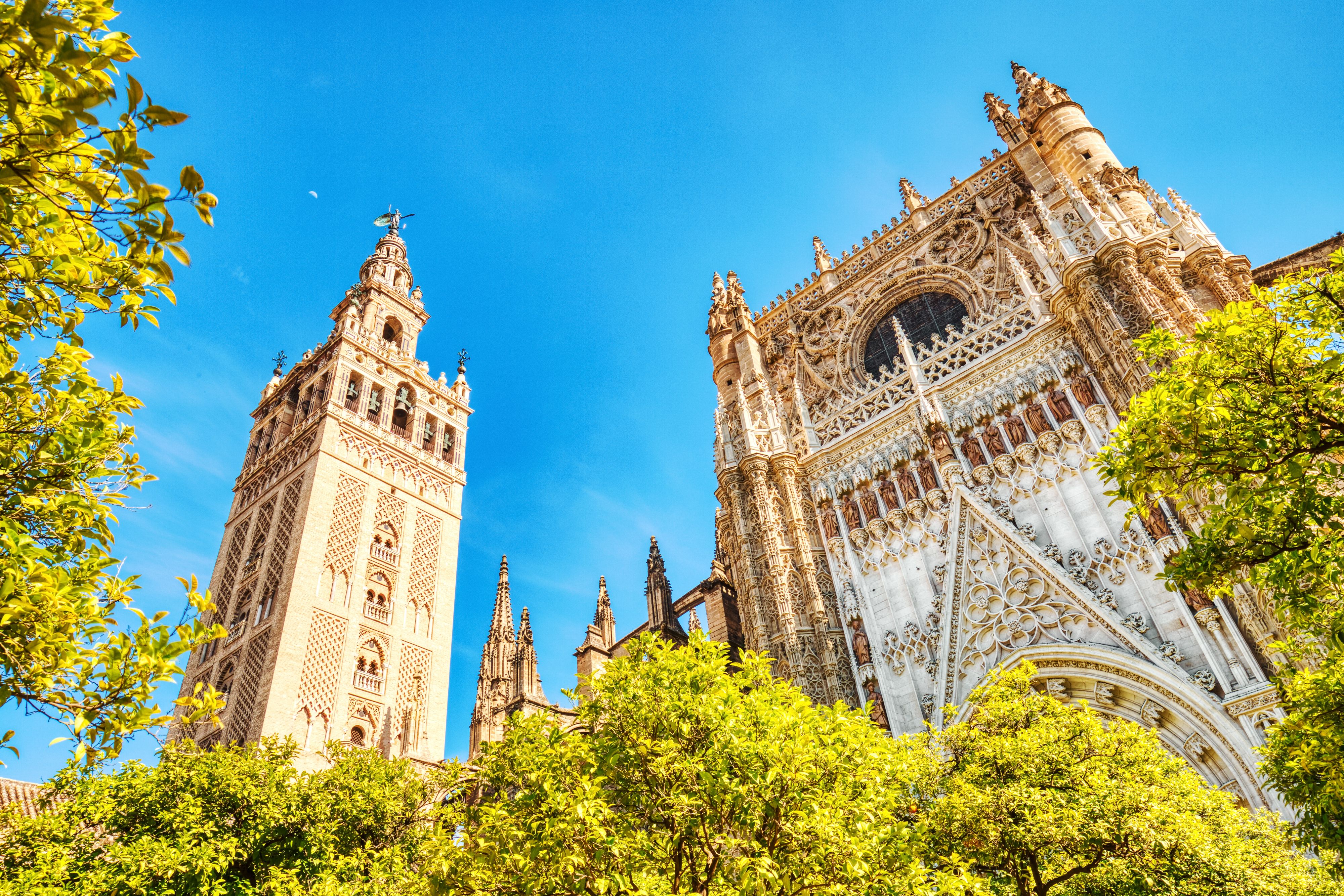 seville cathedral