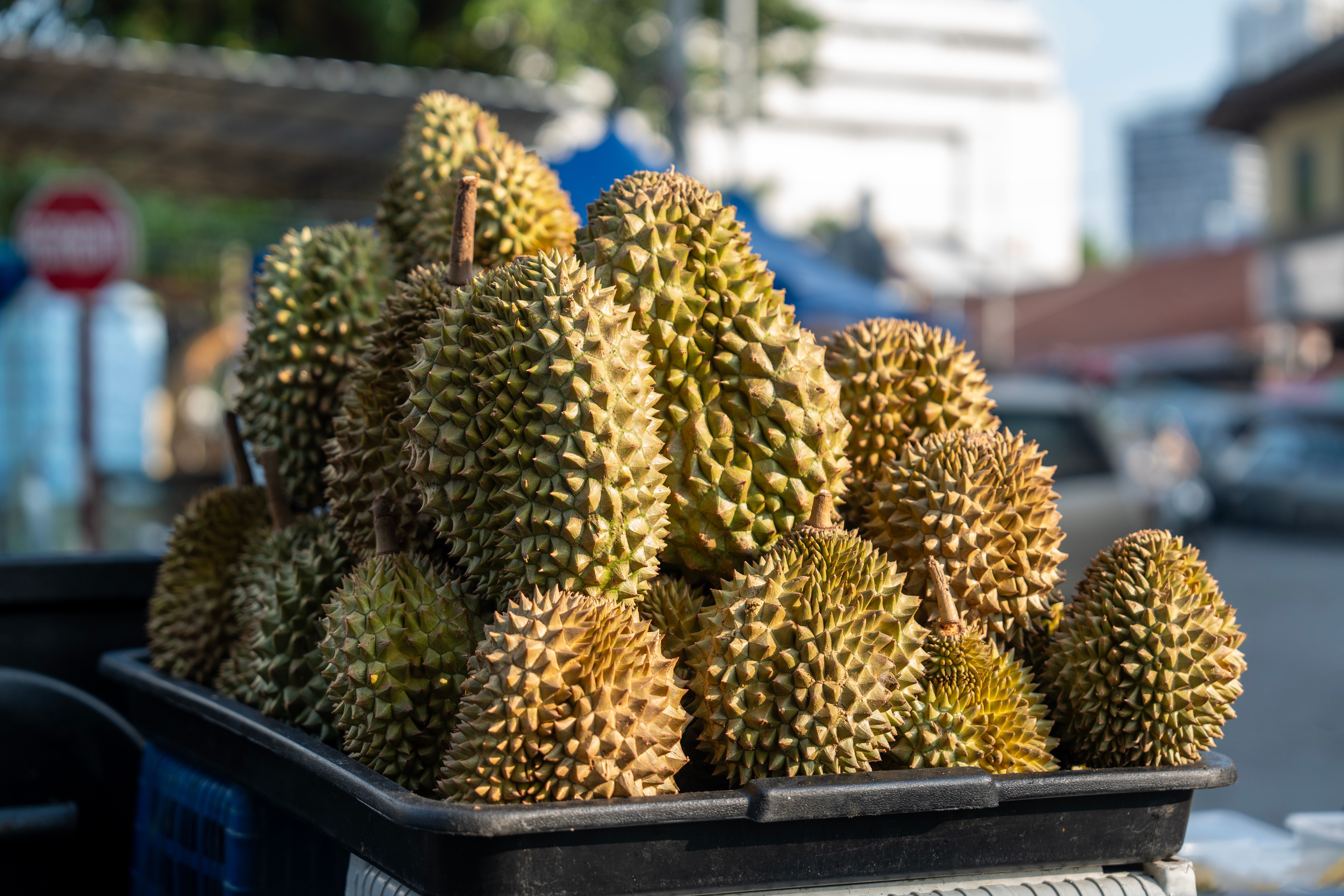 exotic ingredients