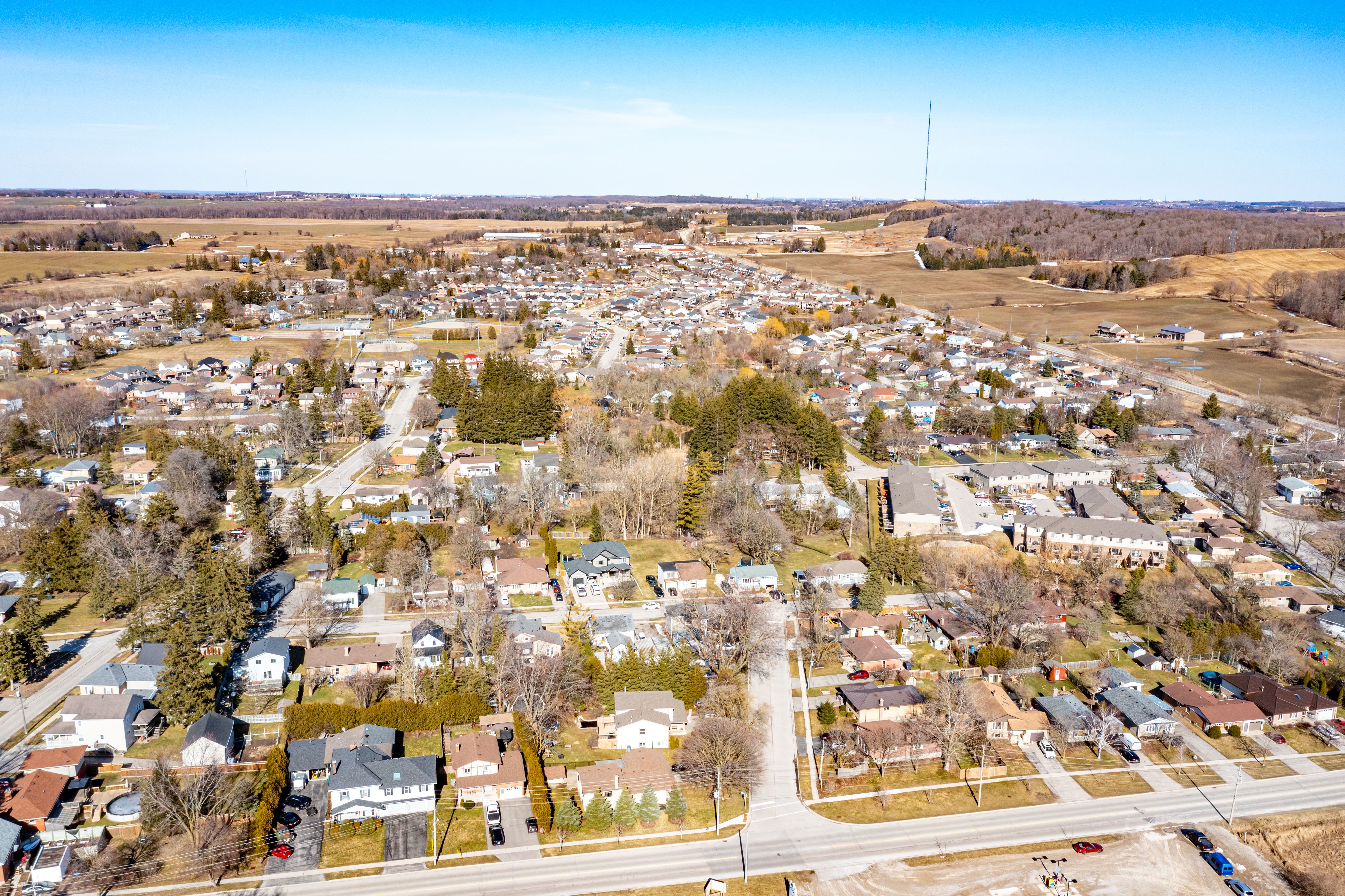 manheim neighborhood