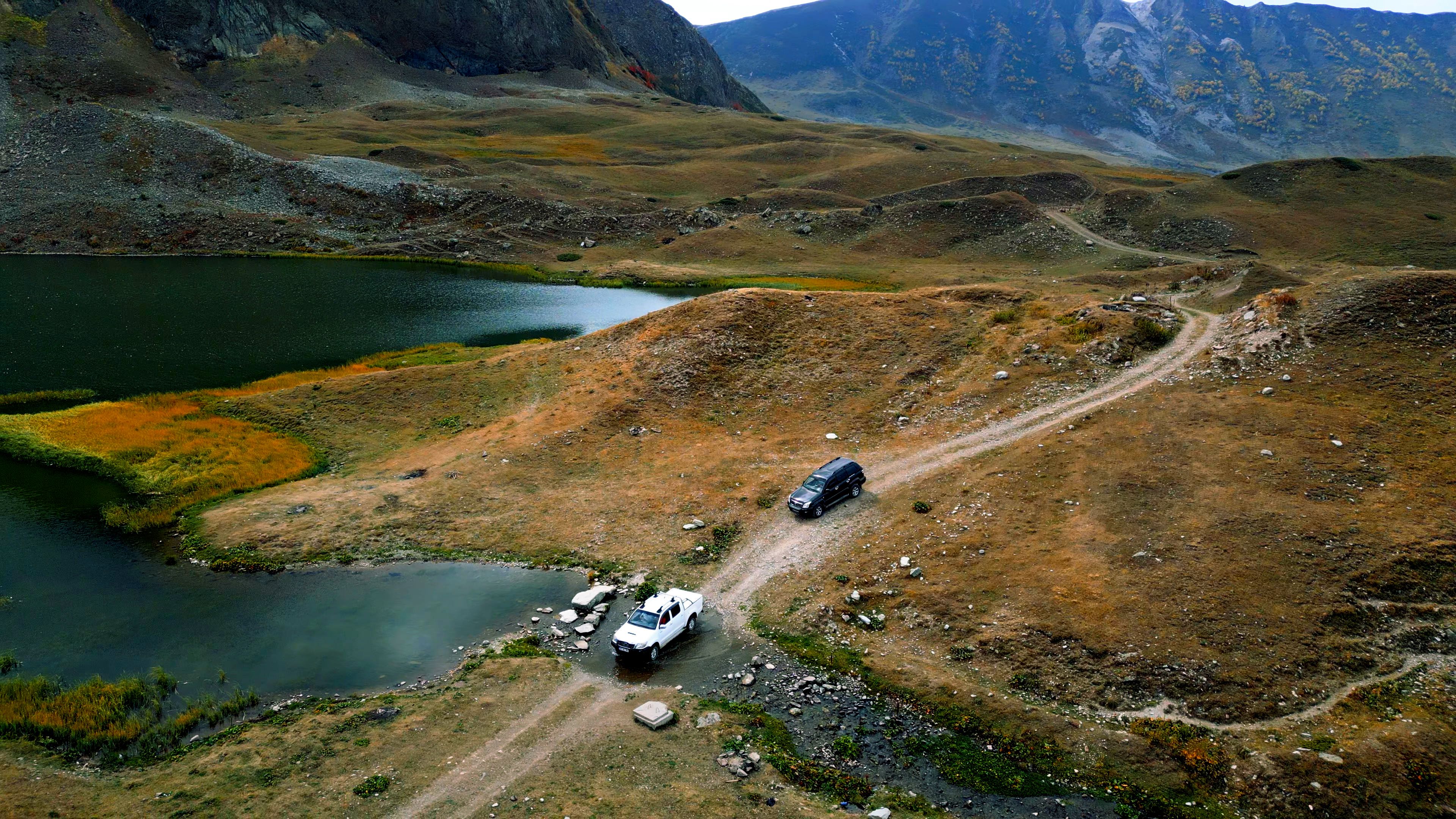 autumn foliage scotland