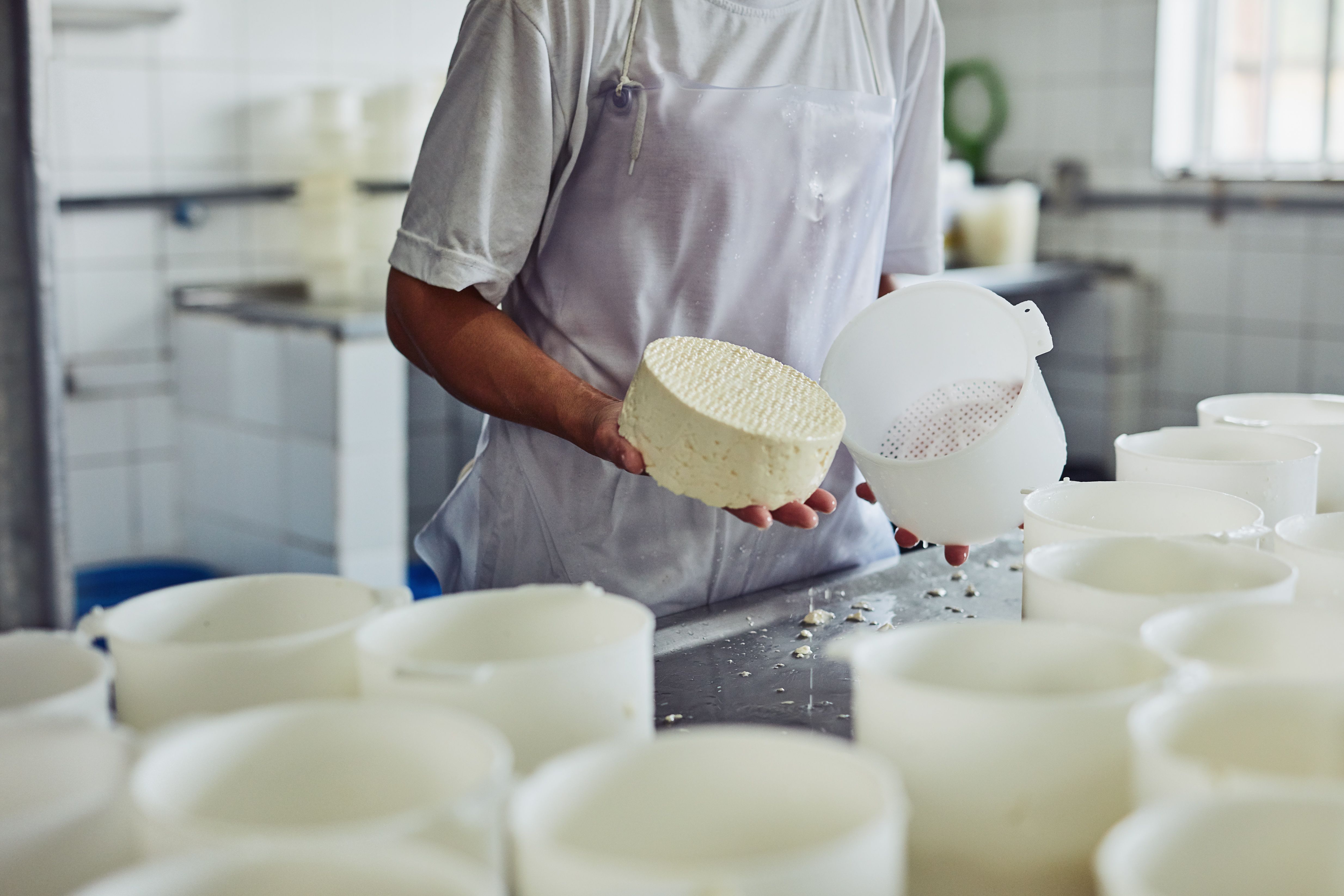 cooking cheese