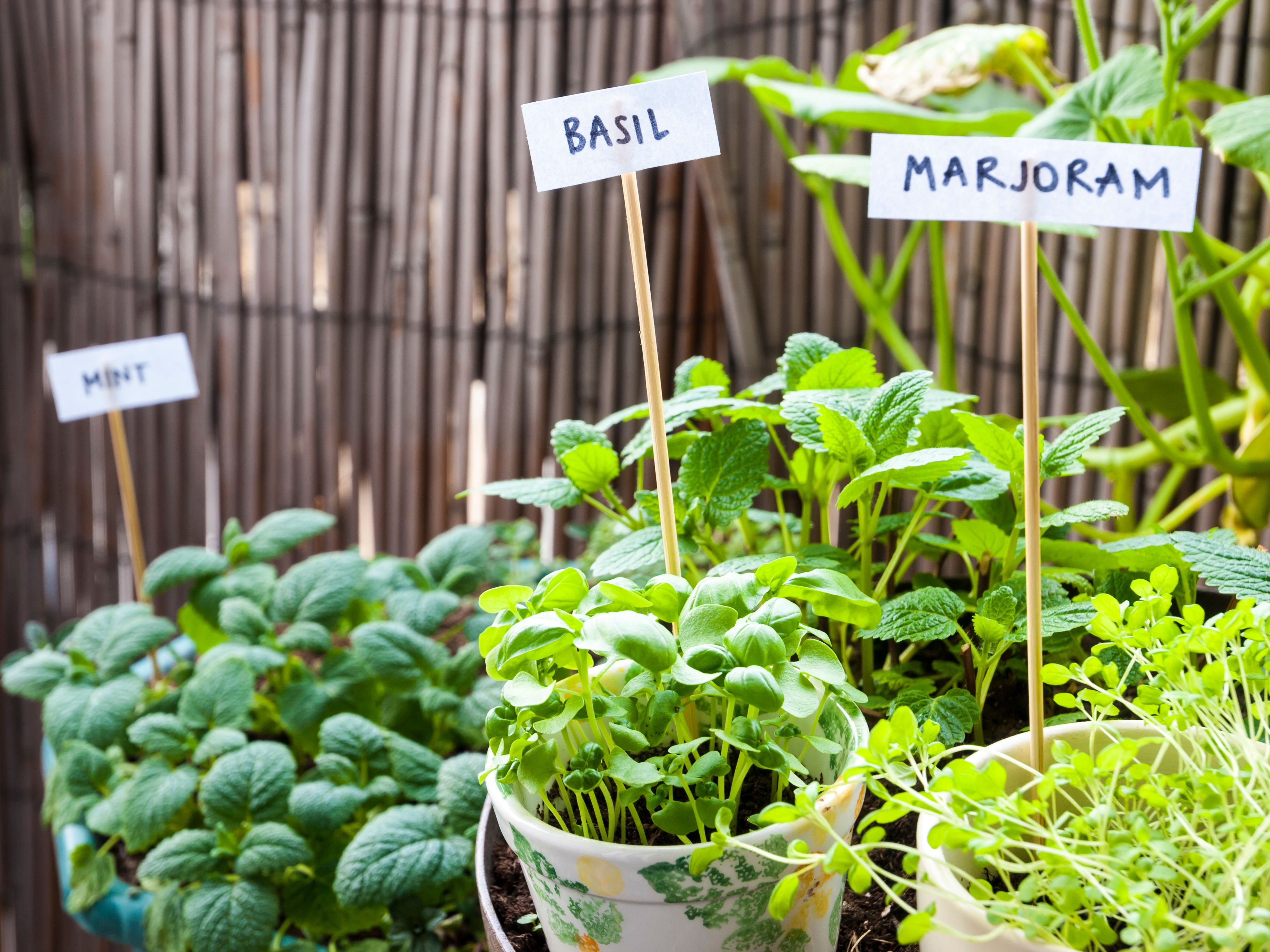 herb garden balcony