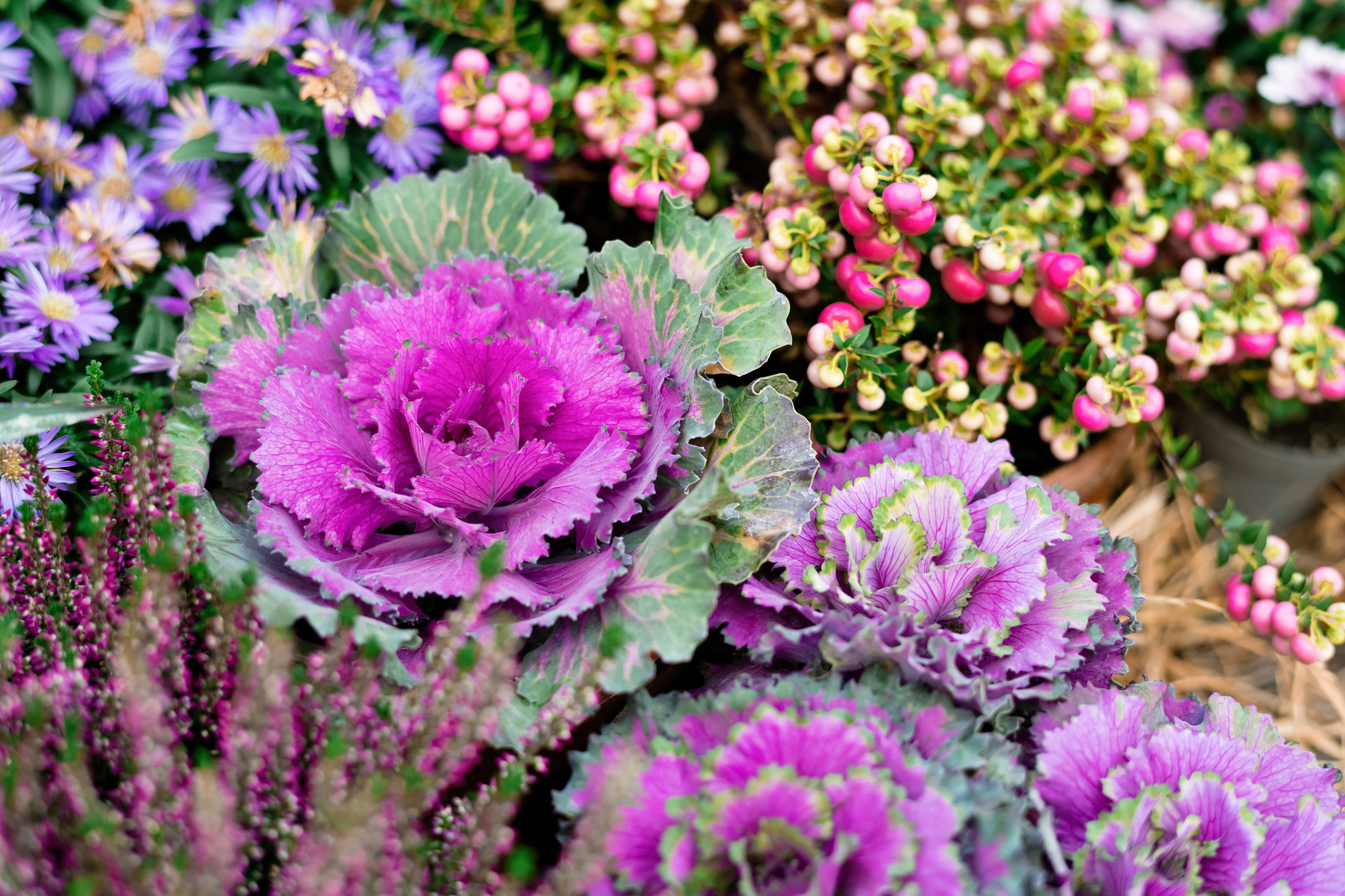 autumn garden decoration