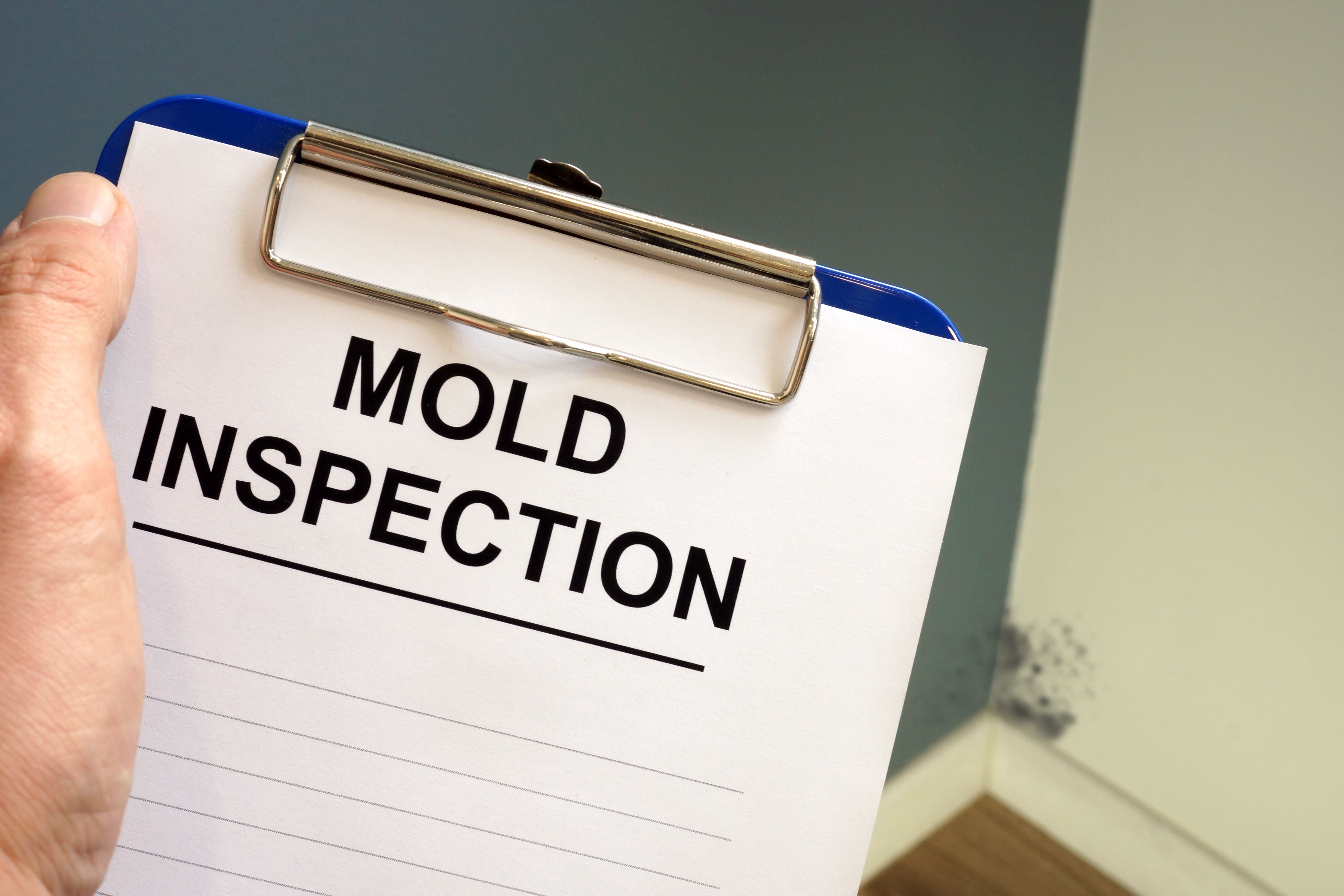 mold lawsuit