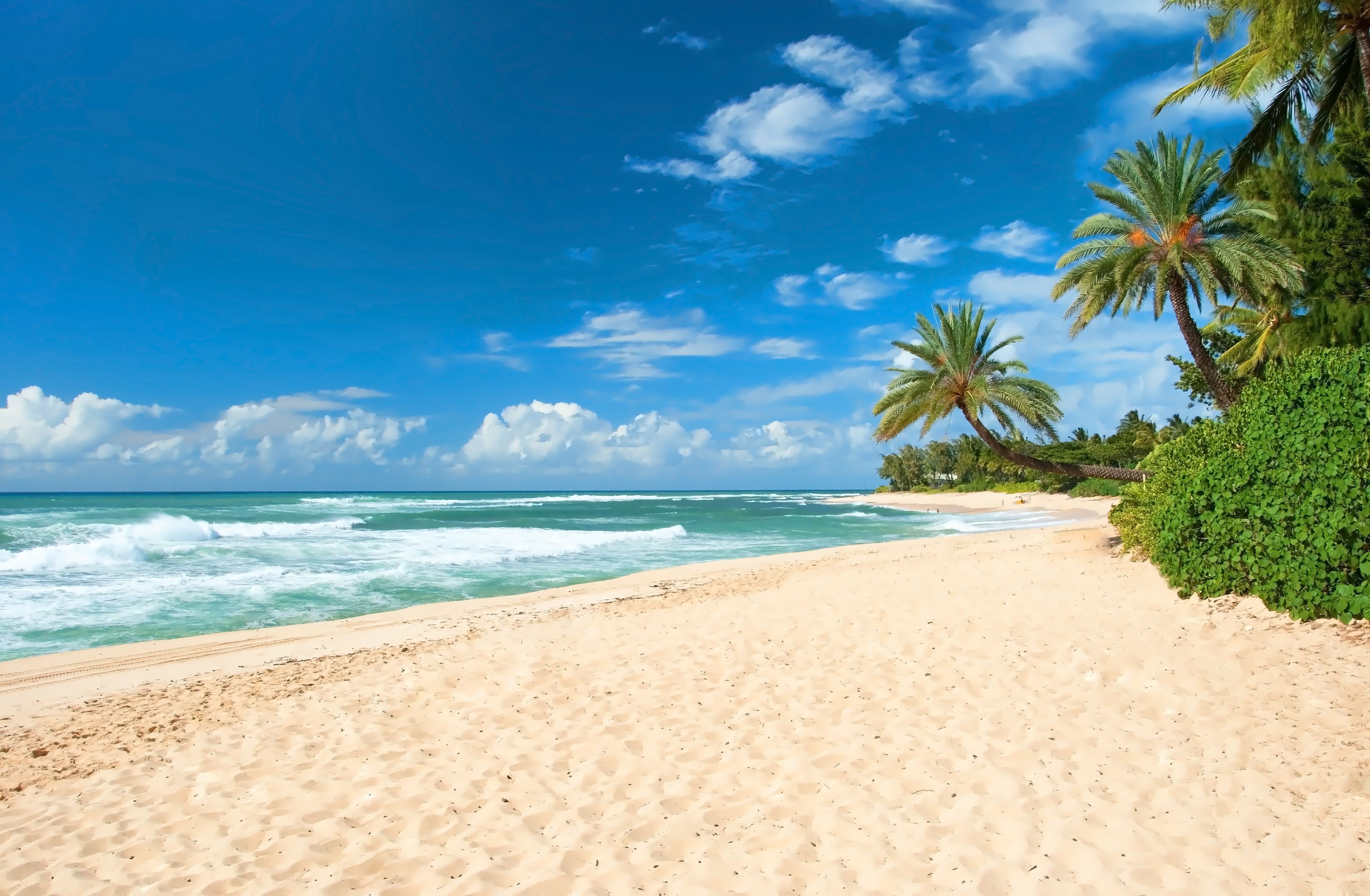 secluded beach
