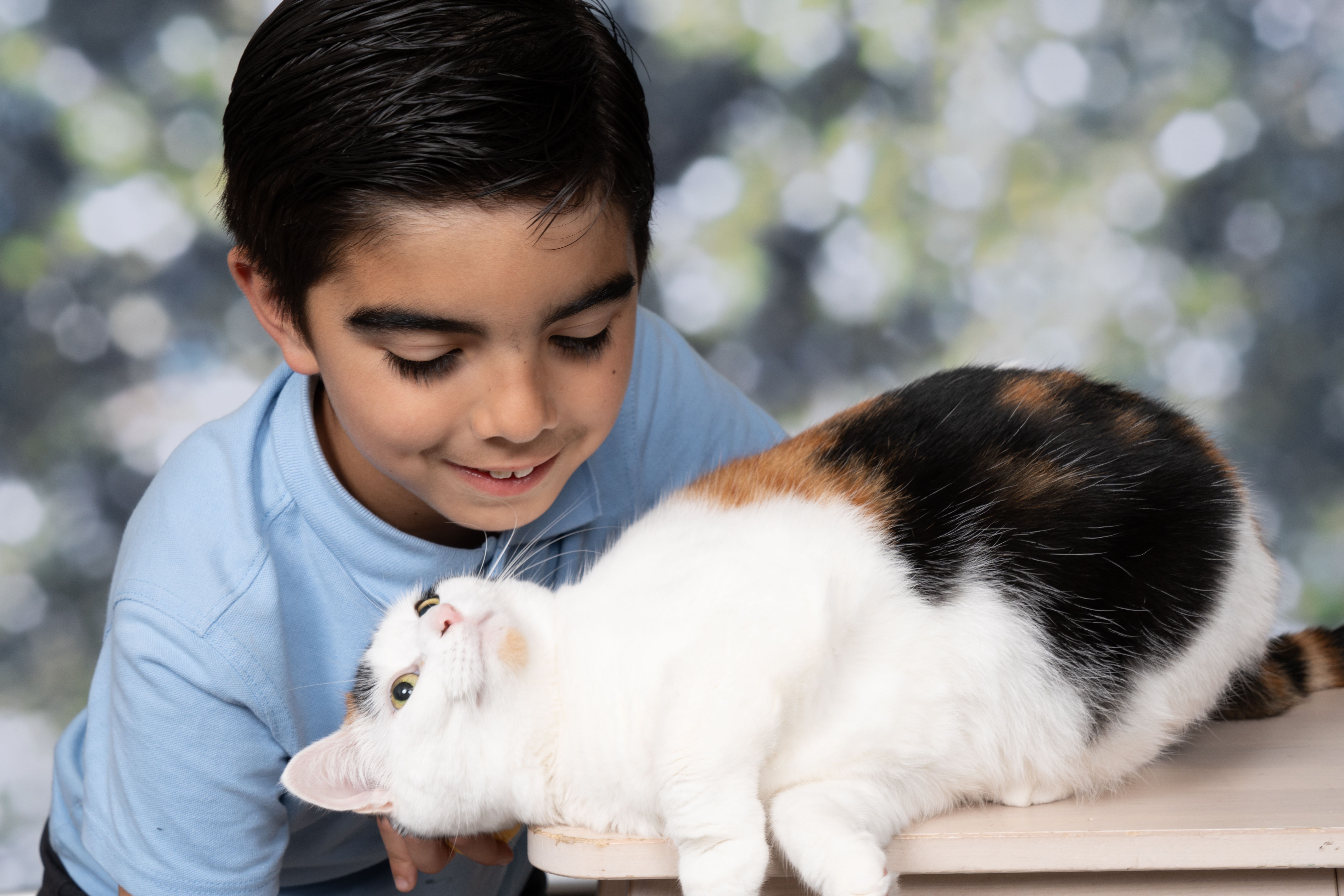 School day photoshoot boy and his cat pet School day photoshoot boy and his cat pet