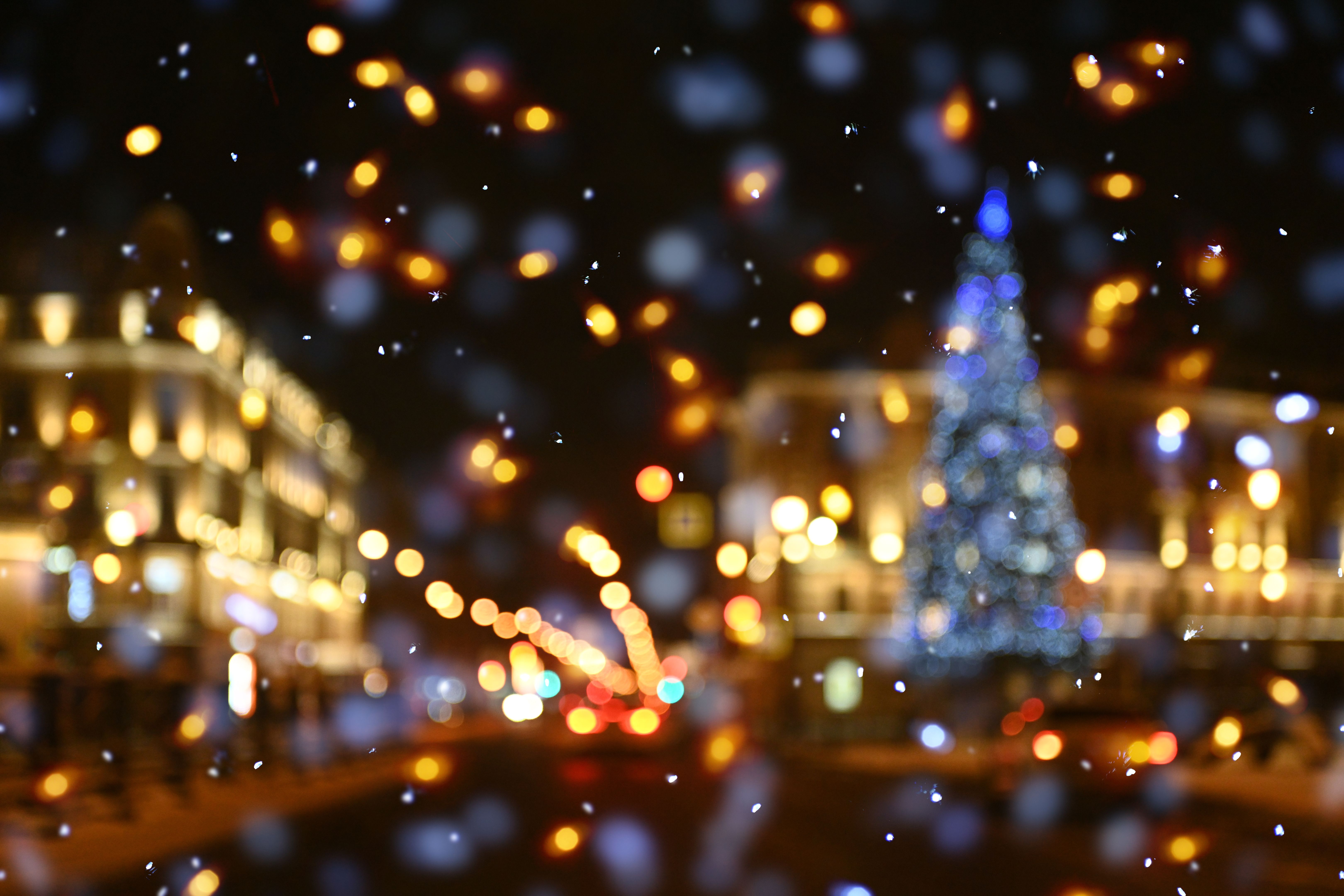 outdoor holiday lighting