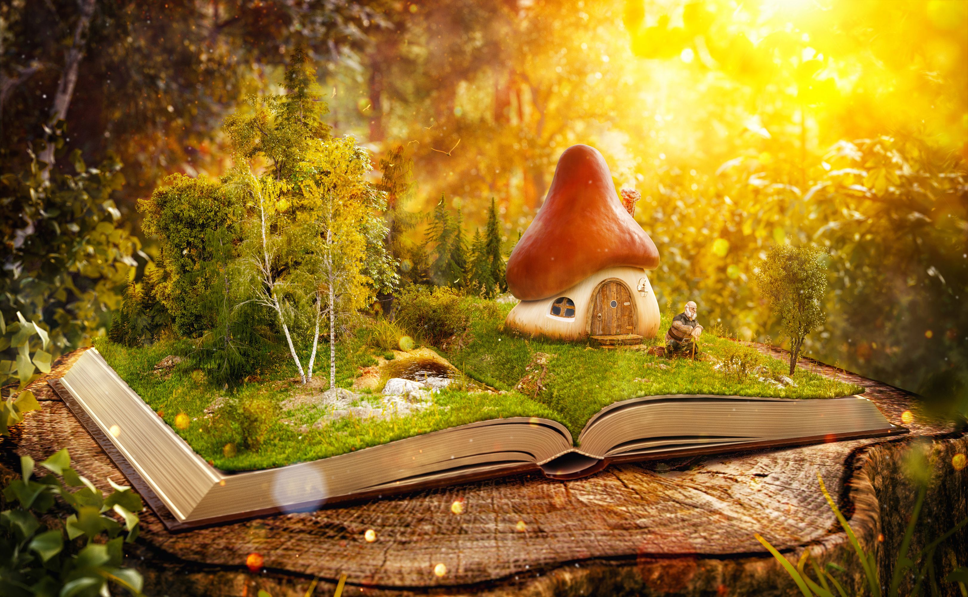 book illustration