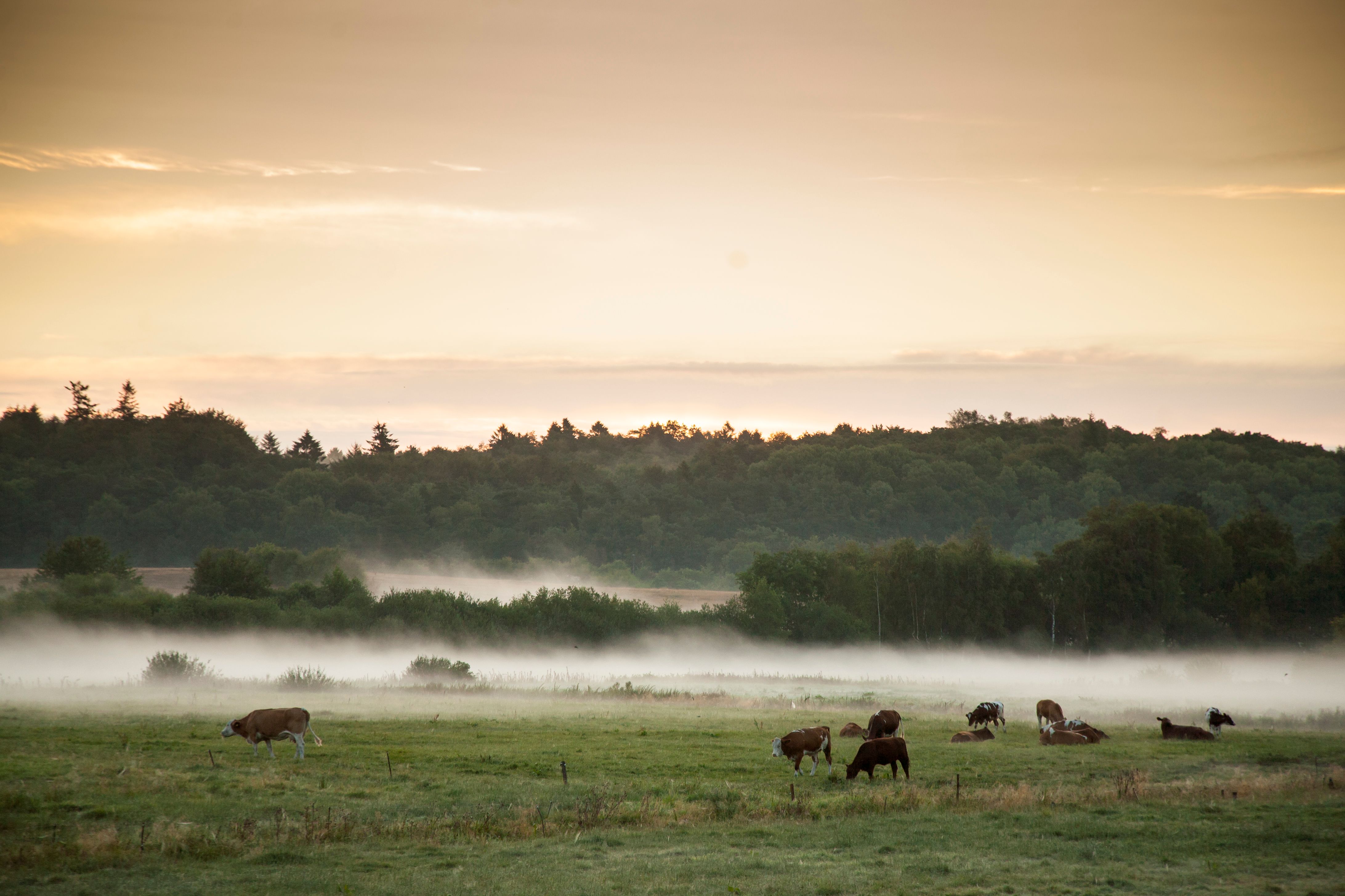 haze and fog over the landscape haze and fog over the landscape