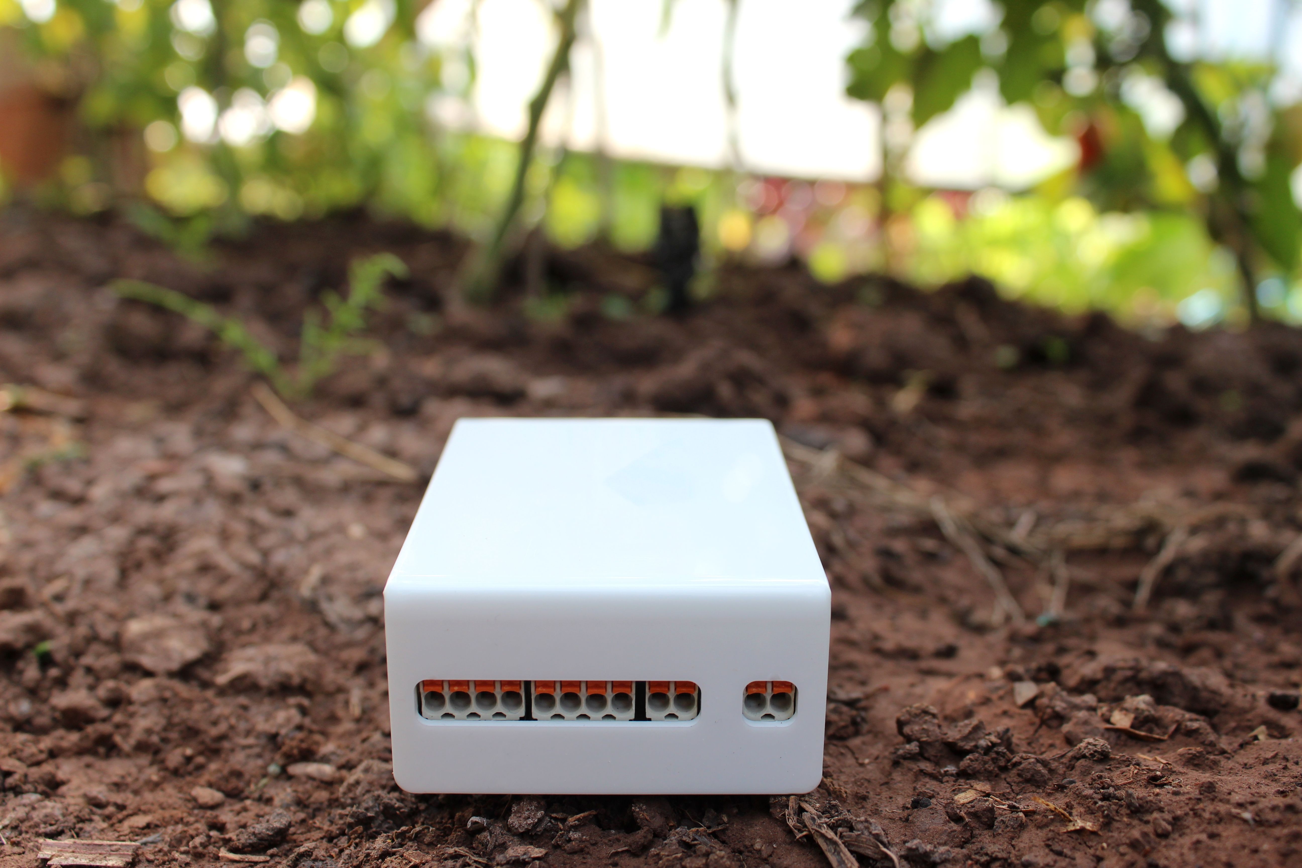 lawn soil test