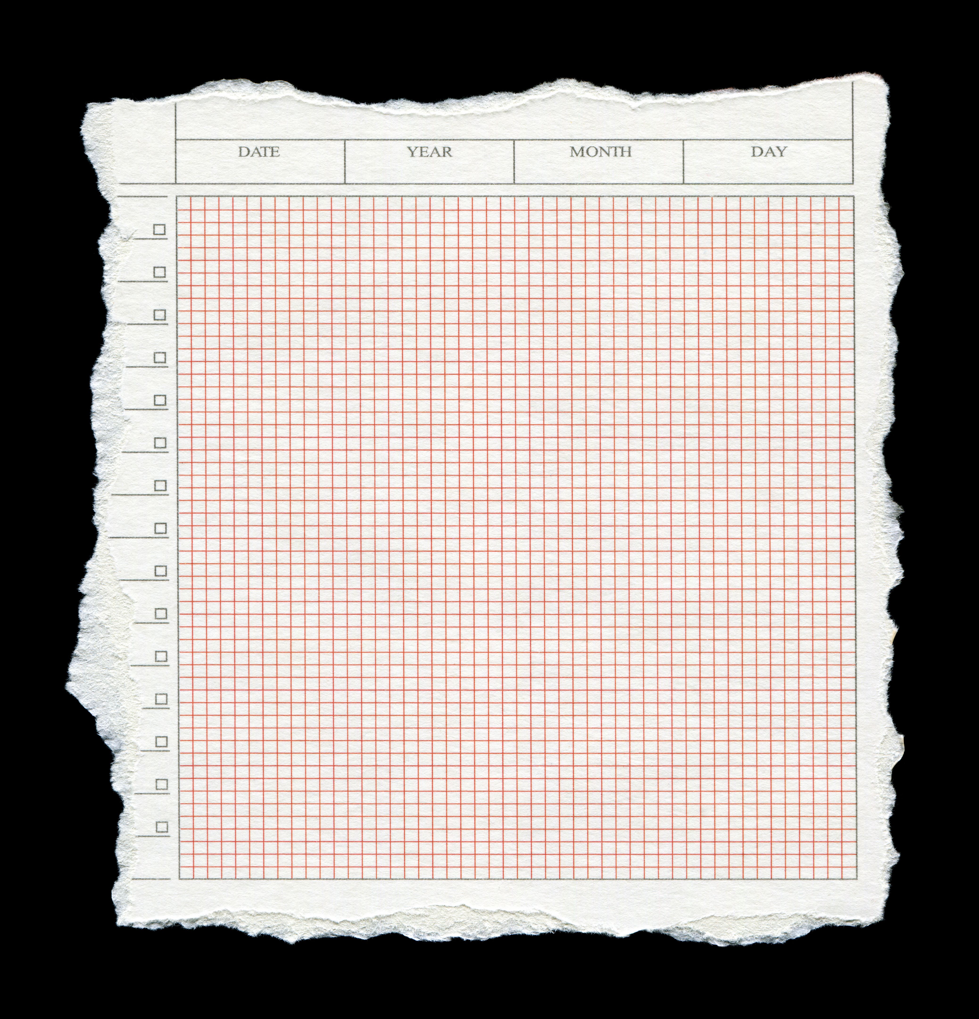 background check report