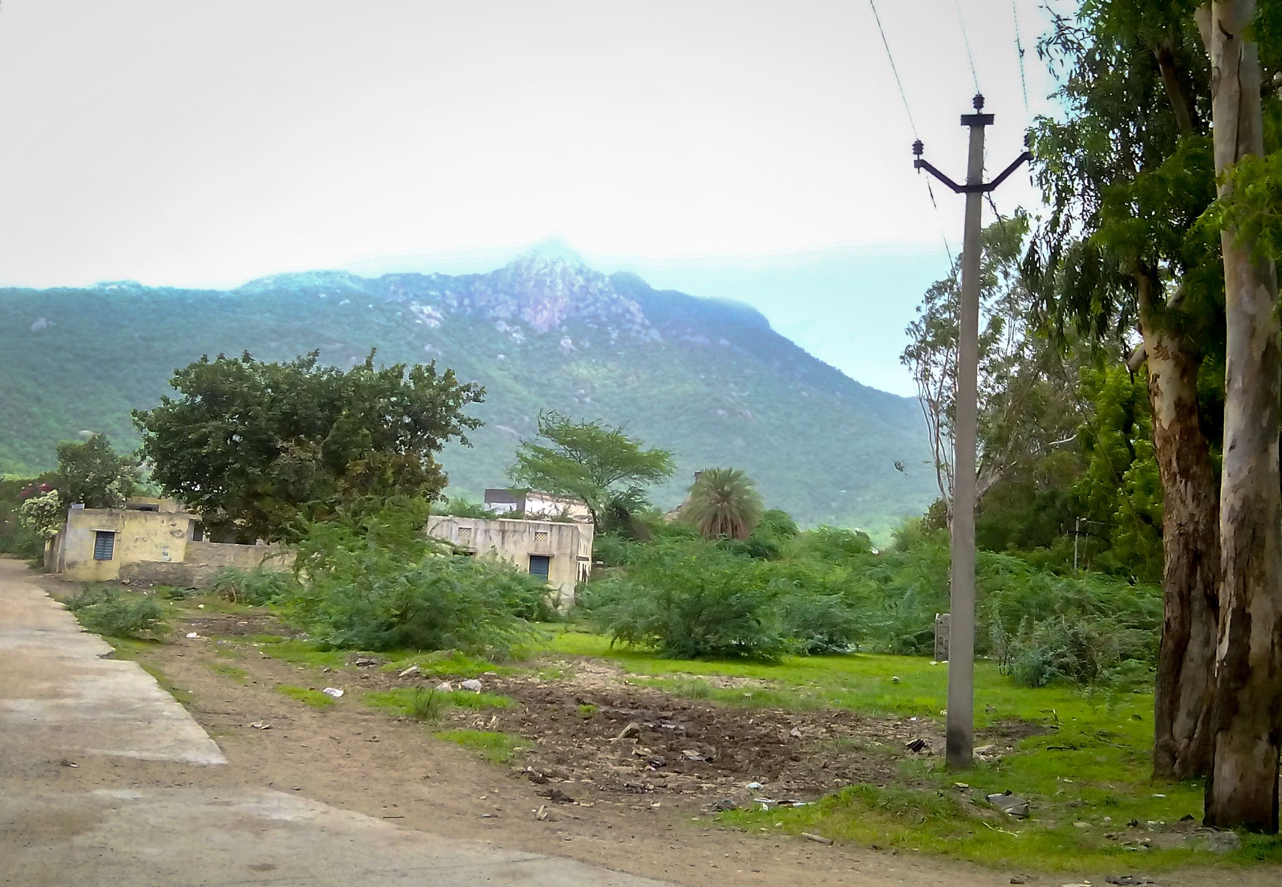 vellore village