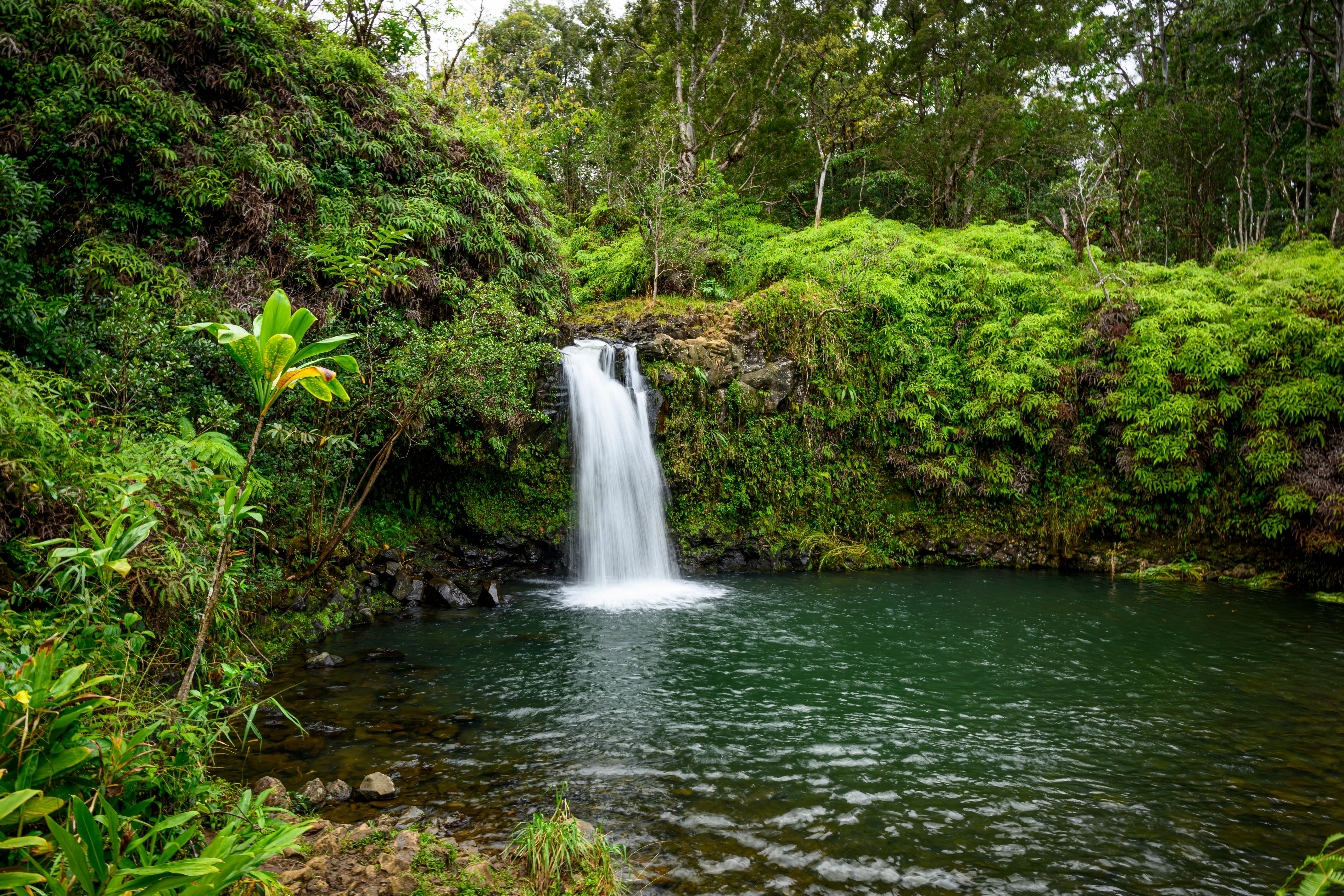 road to hana waterfalls