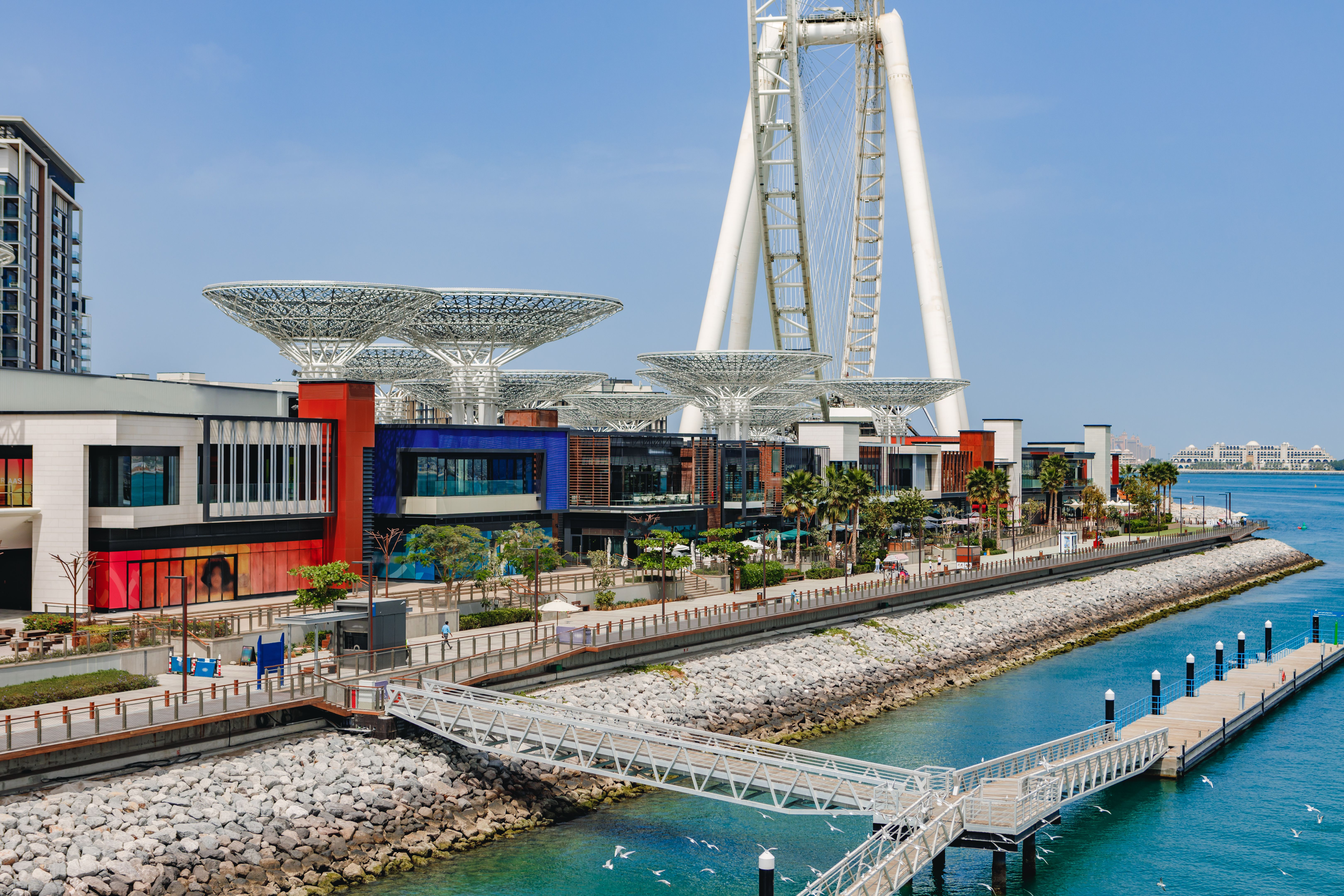 Large ferrris wheel Dubai Eye in United Arab Emirates
