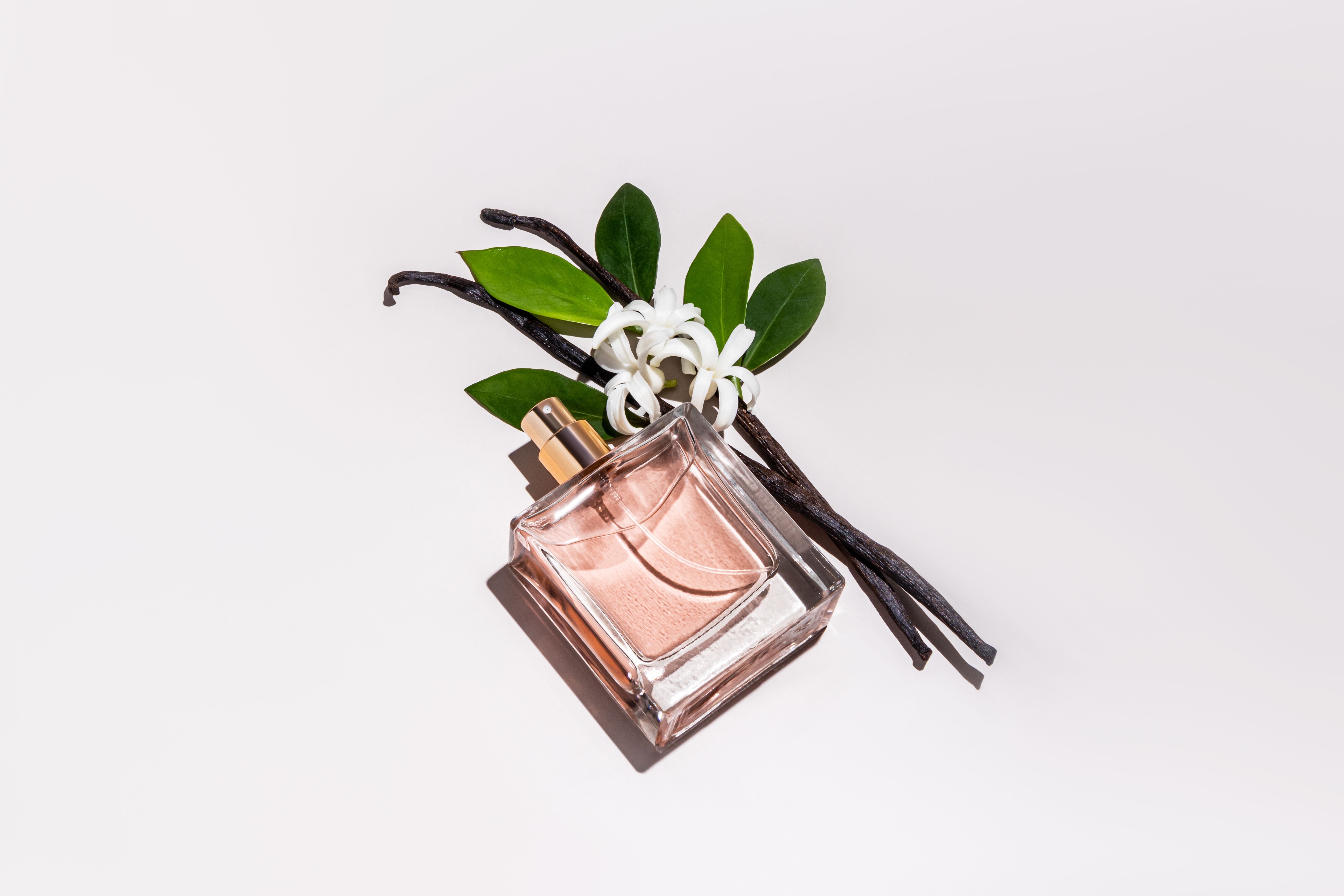 sustainable perfume ingredients