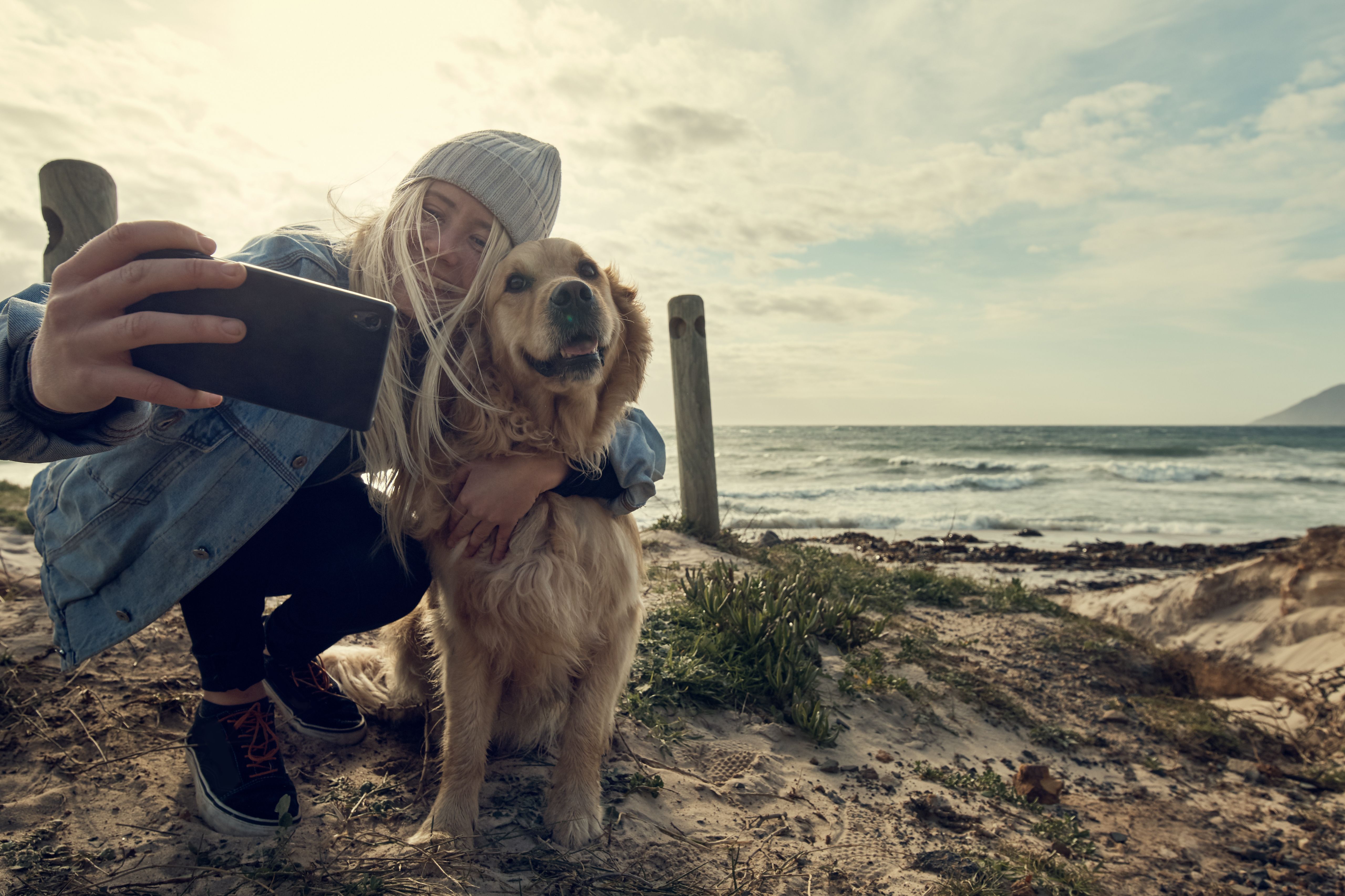 pet owner communication
