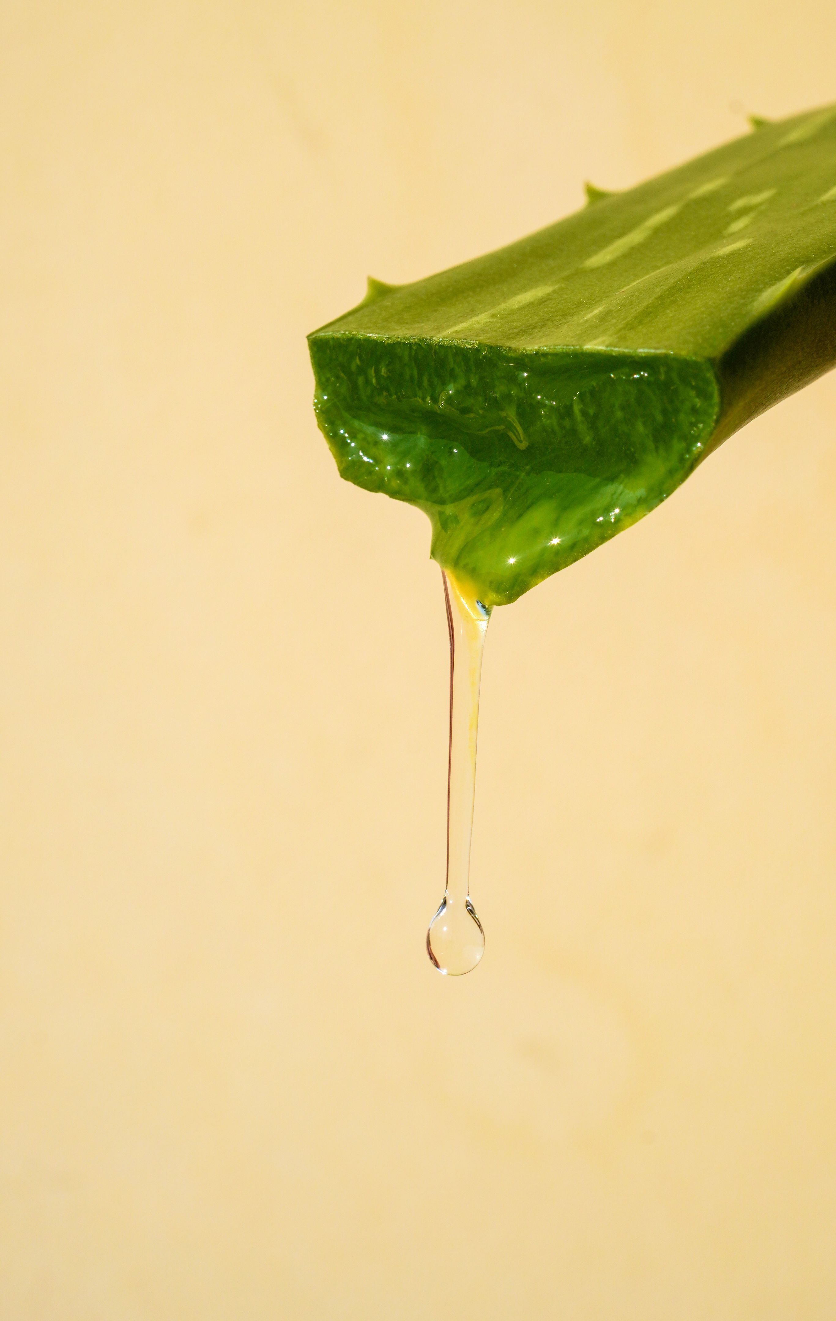 aloe vera gel