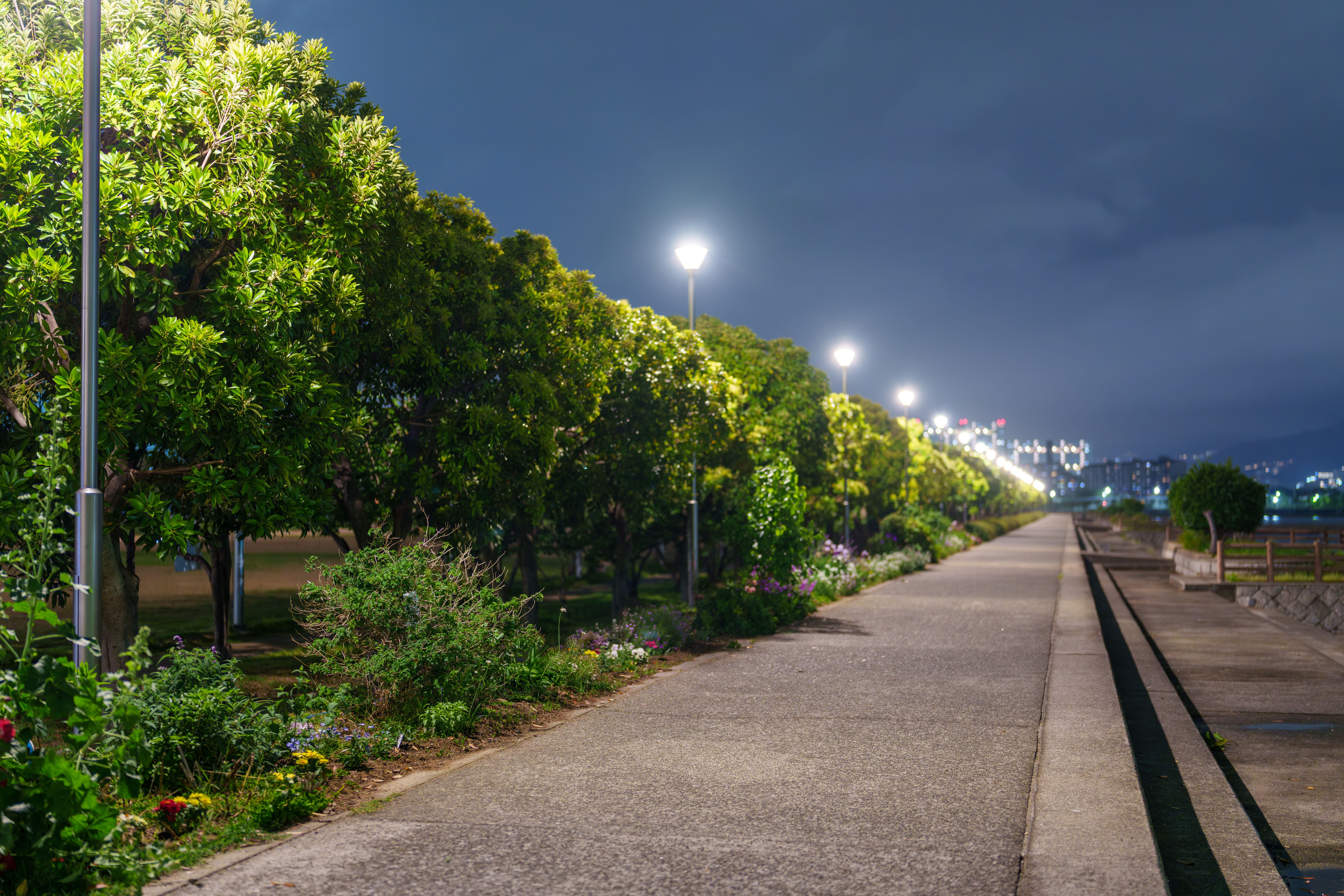 outdoor path lights